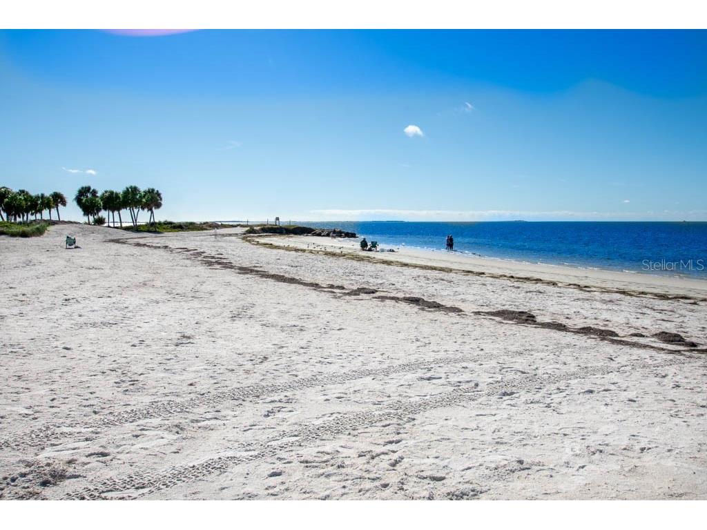 1802 Wood Stock Circle Tarpon Springs FL 34689 TB8510519 image59