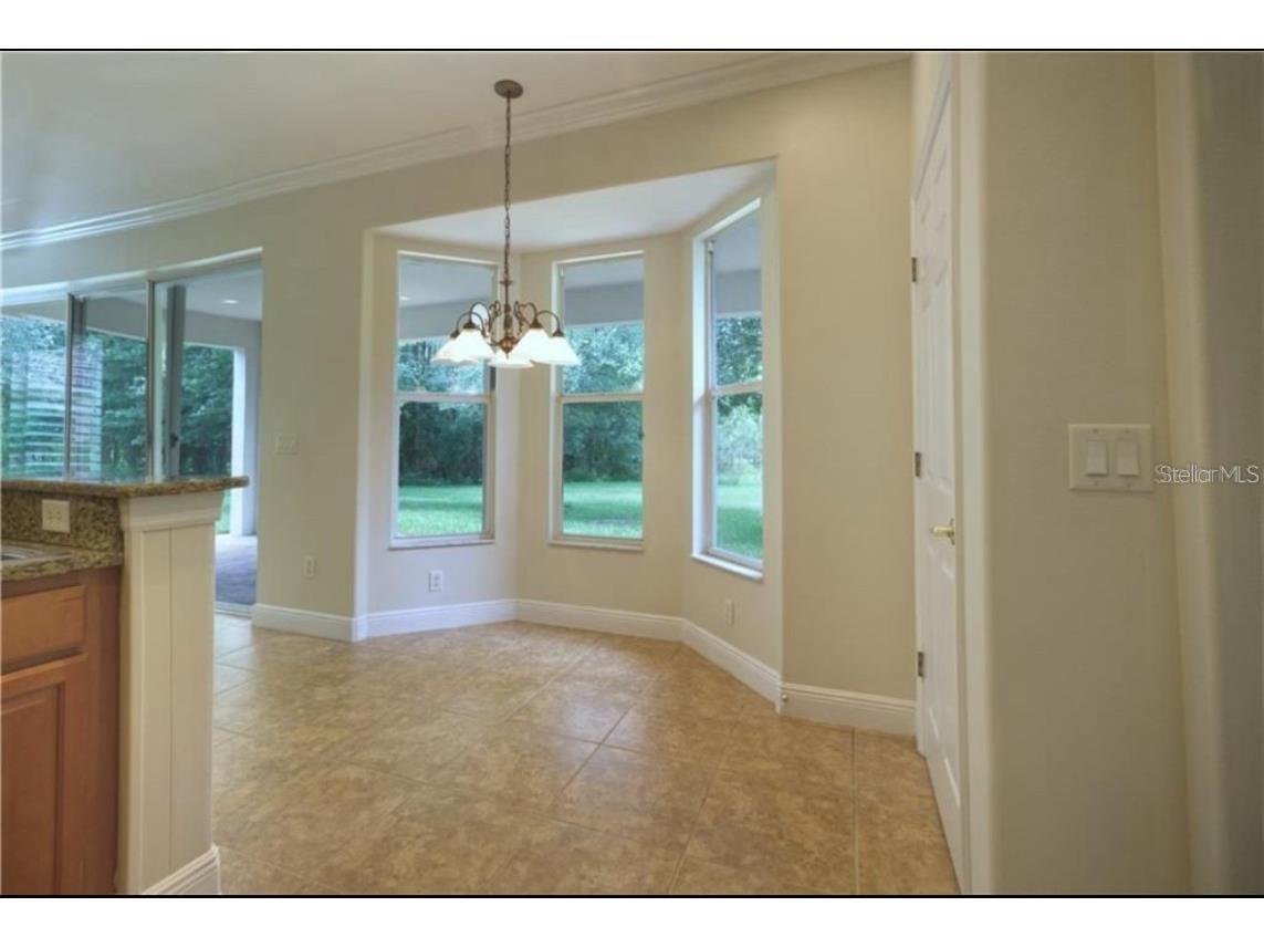 18020 Maui Isle Drive Tampa FL 33647 TB8417687 image13