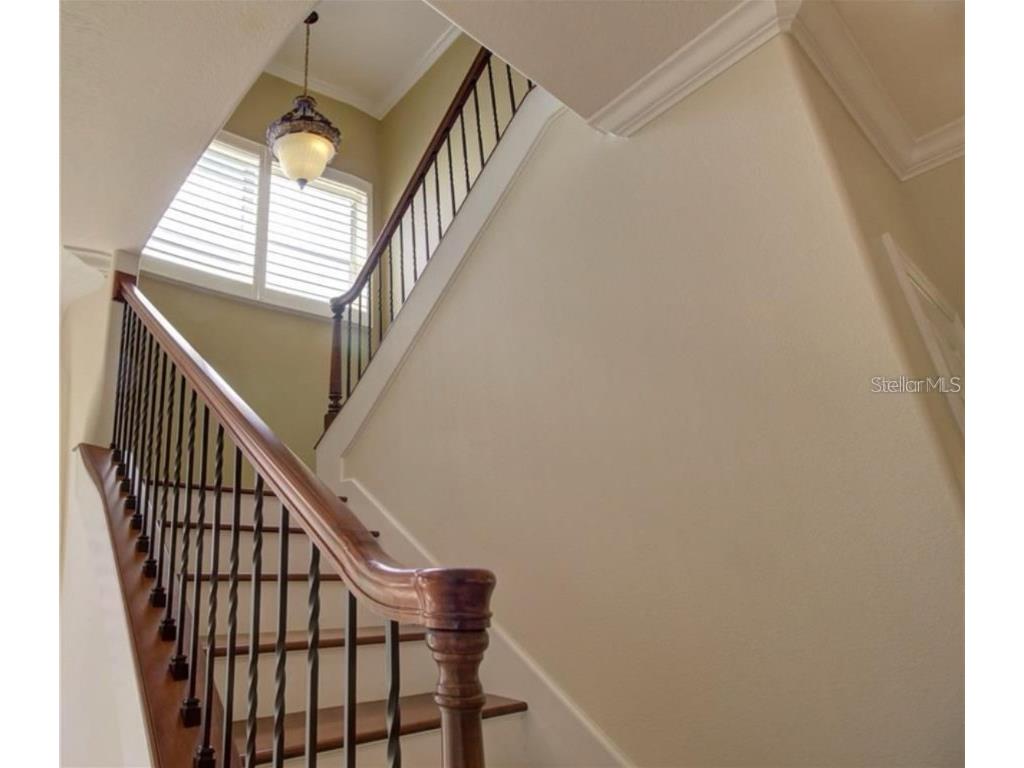 18020 Maui Isle Drive Tampa FL 33647 TB8417687 image17