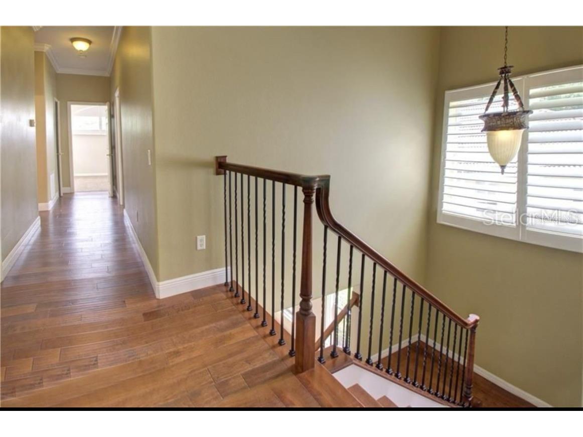 18020 Maui Isle Drive Tampa FL 33647 TB8417687 image18