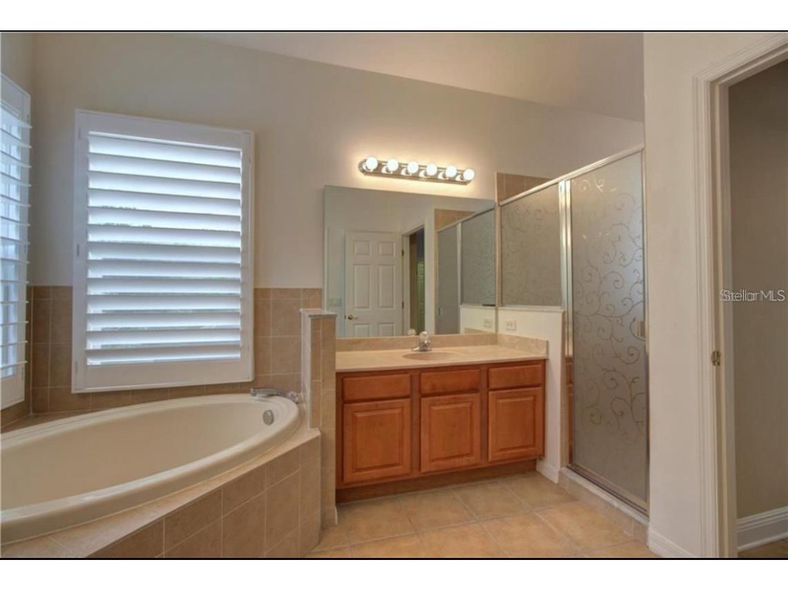 18020 Maui Isle Drive Tampa FL 33647 TB8417687 image28