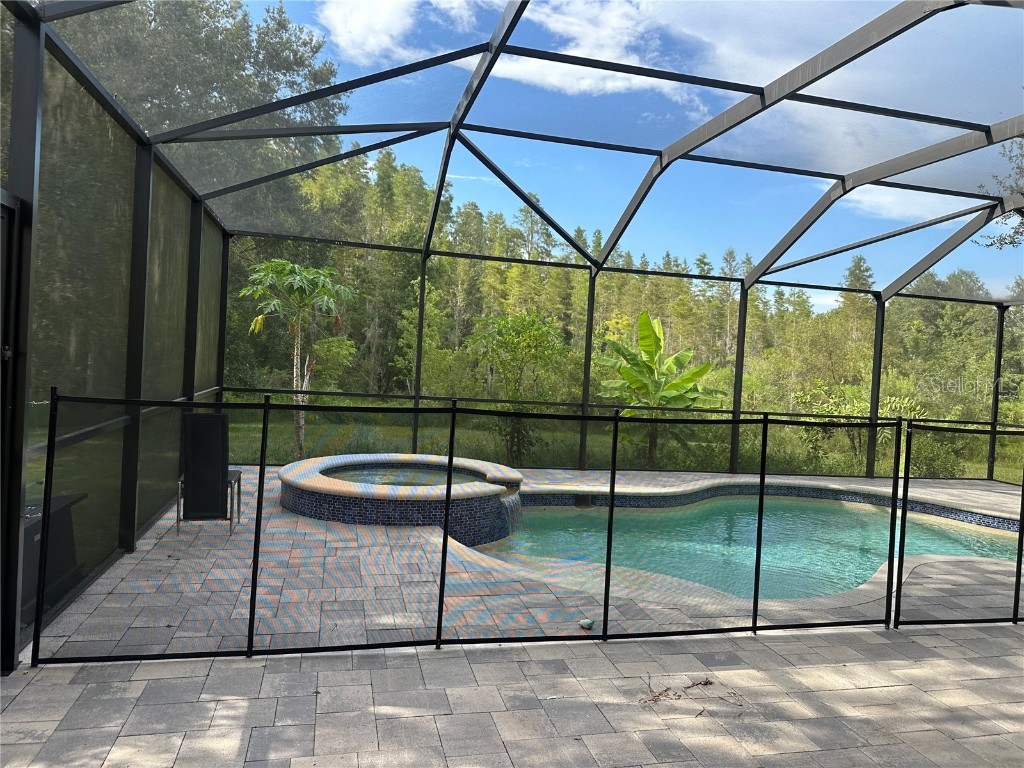 18020 Maui Isle Drive Tampa FL 33647 TB8417687 image40