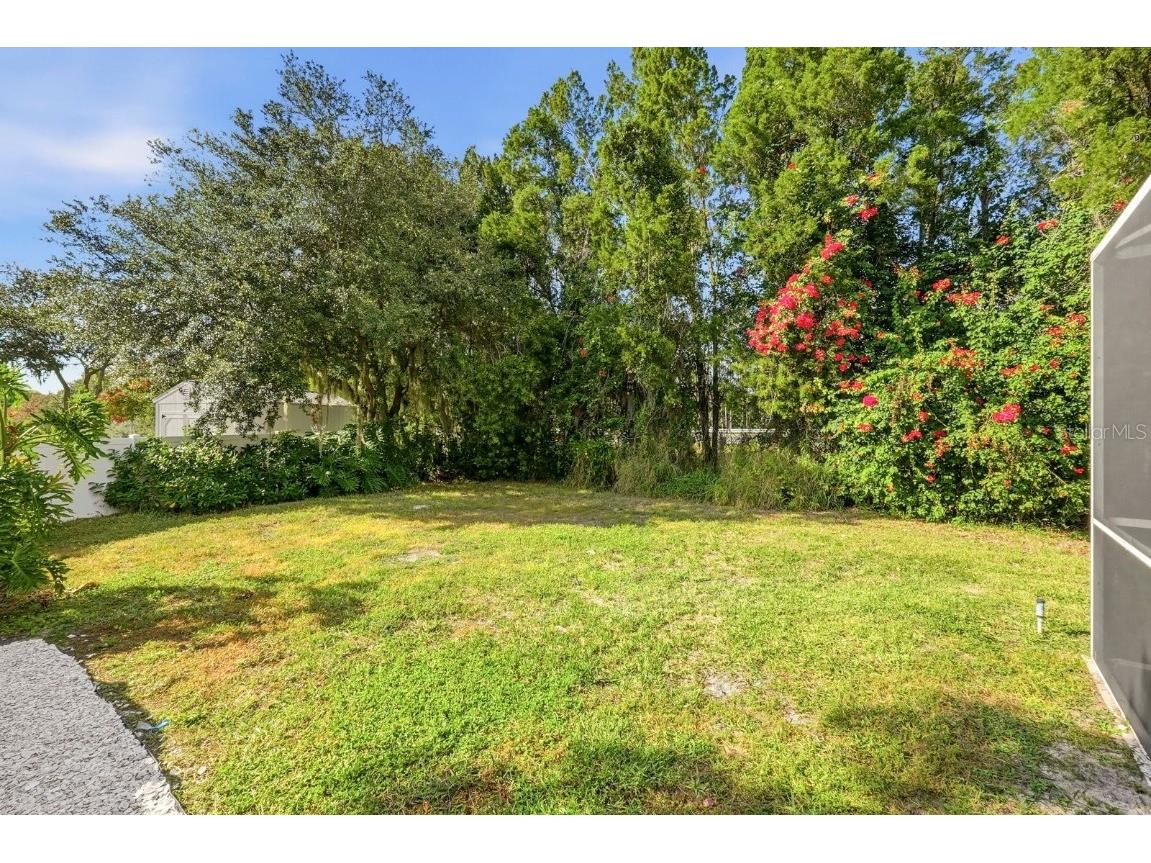 18020 Sparrows Nest Drive Lutz FL 33558 TB8448830 image37