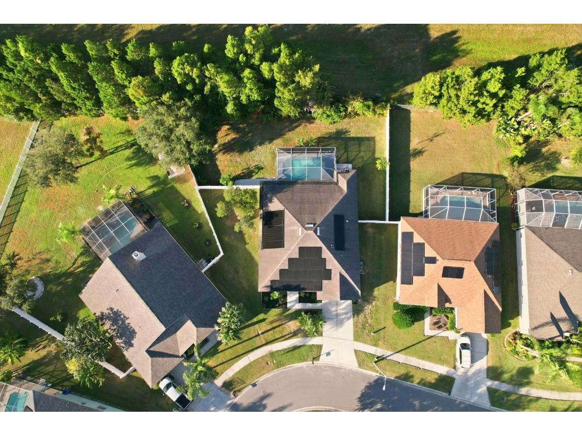 18020 Sparrows Nest Drive Lutz FL 33558 TB8448830 image38