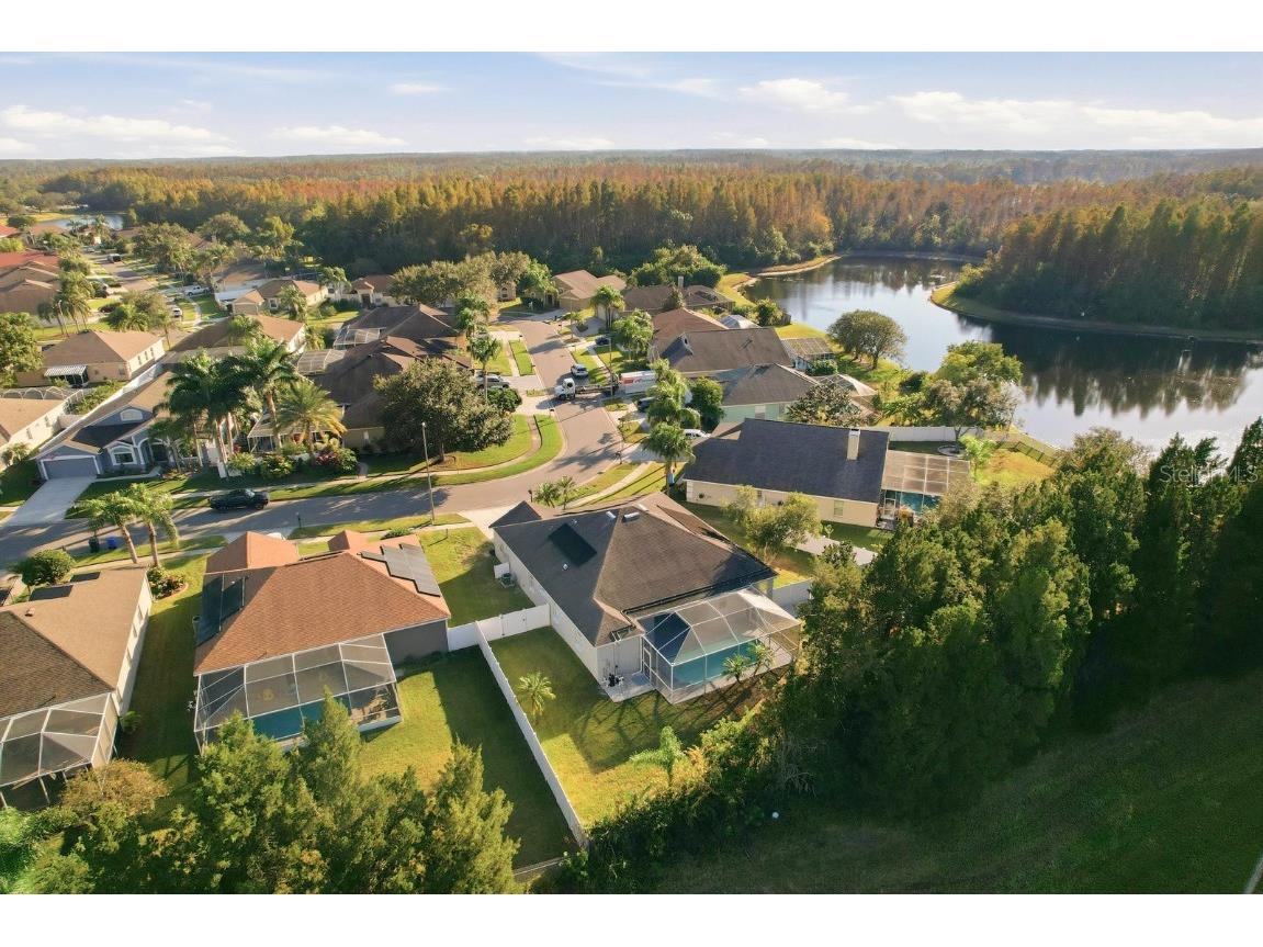 18020 Sparrows Nest Drive Lutz FL 33558 TB8448830 image39