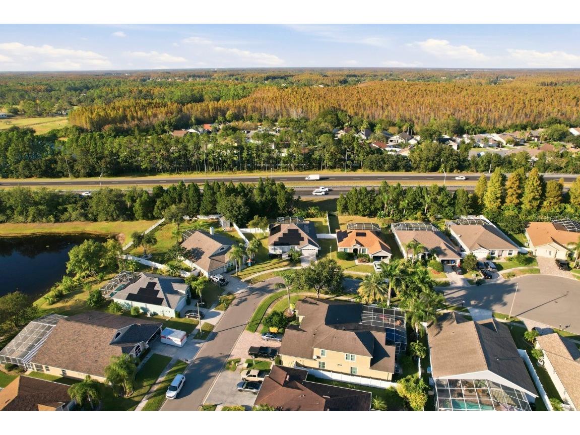 18020 Sparrows Nest Drive Lutz FL 33558 TB8448830 image41