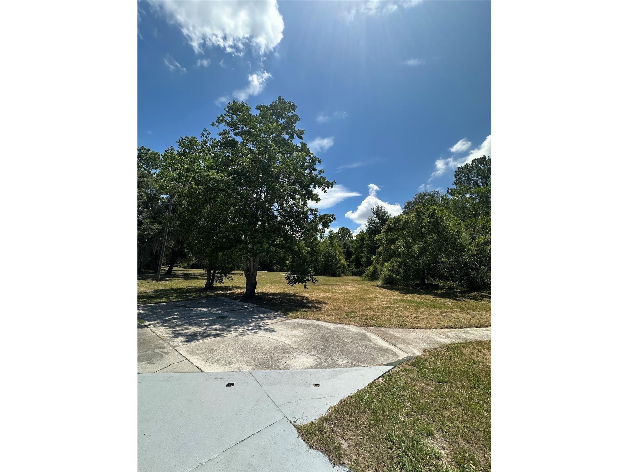 18021 Applejack Court Spring Hill FL 34610 TB8522168 image26