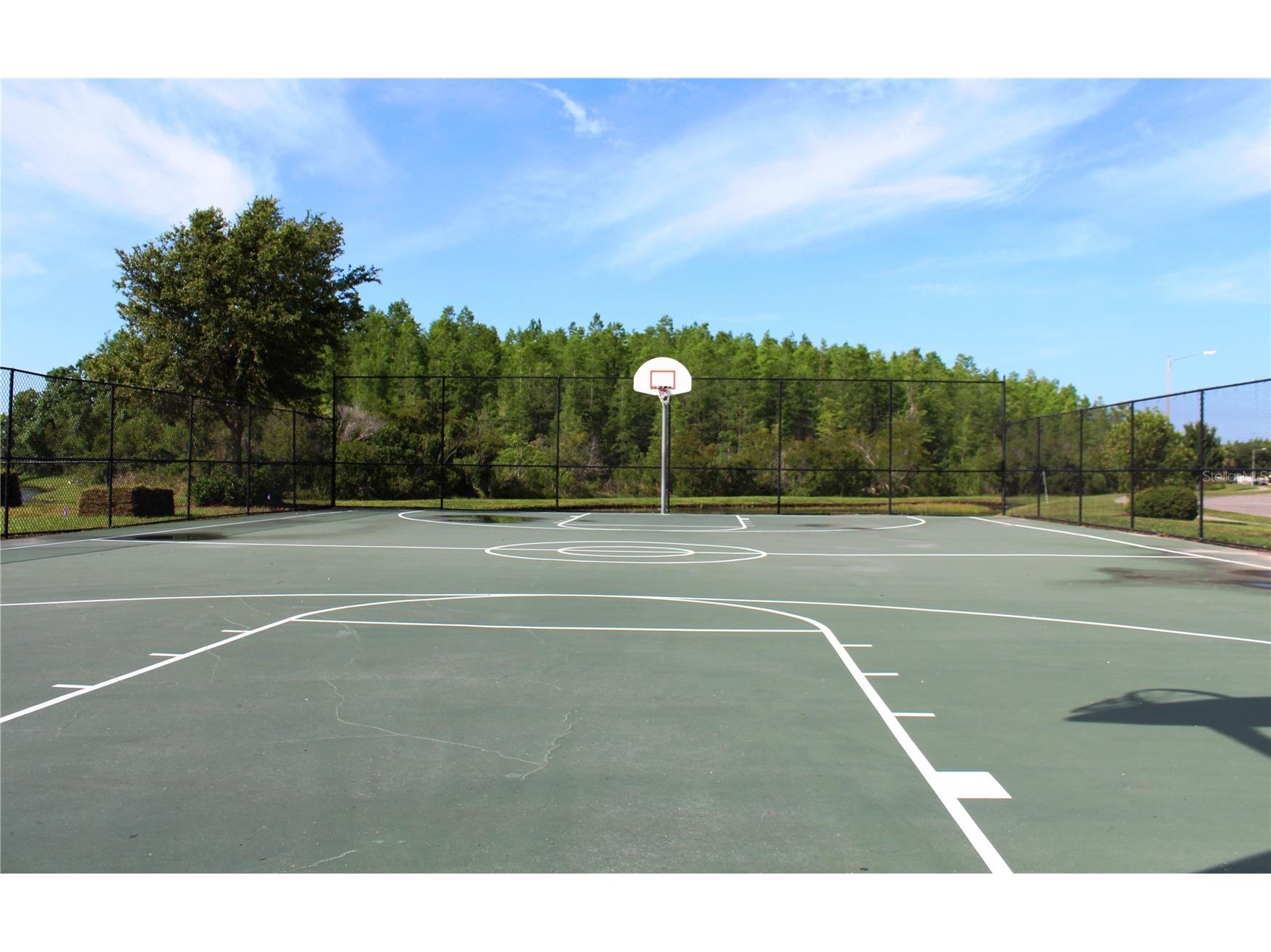 18021 Atherstone Trail Land O Lakes FL 34638 TB8510653 image48