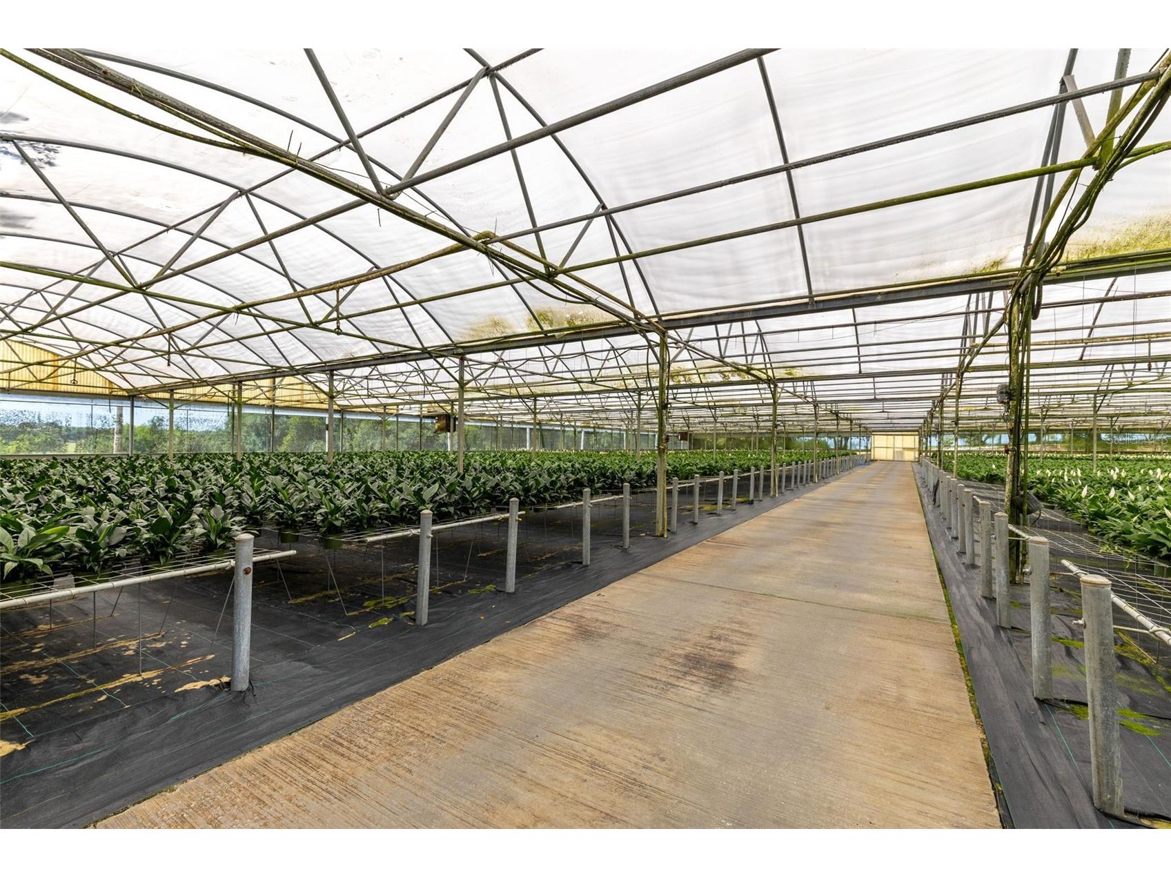 18021 E Apshawa Road Minneola FL 34715 O6401161 image21