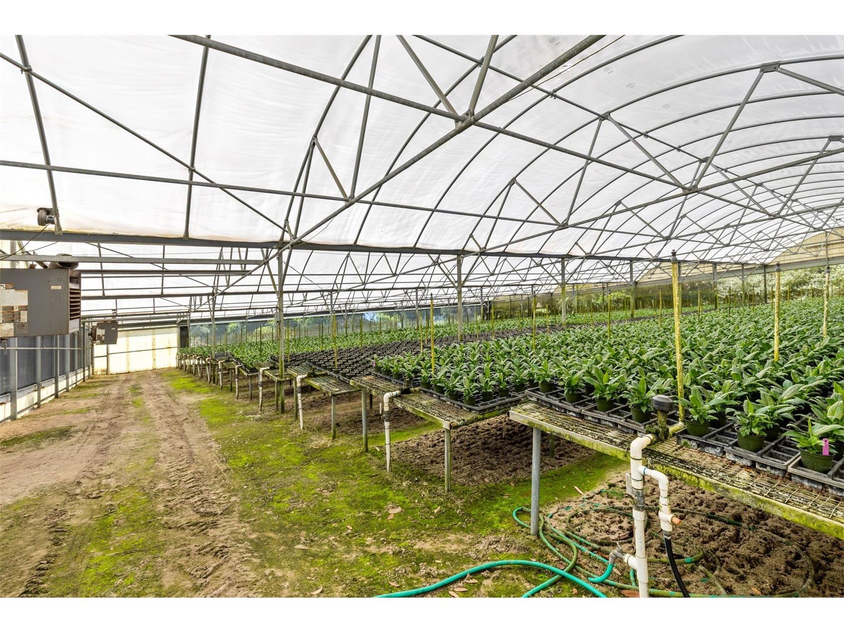 18021 E Apshawa Road Minneola FL 34715 O6401161 image24