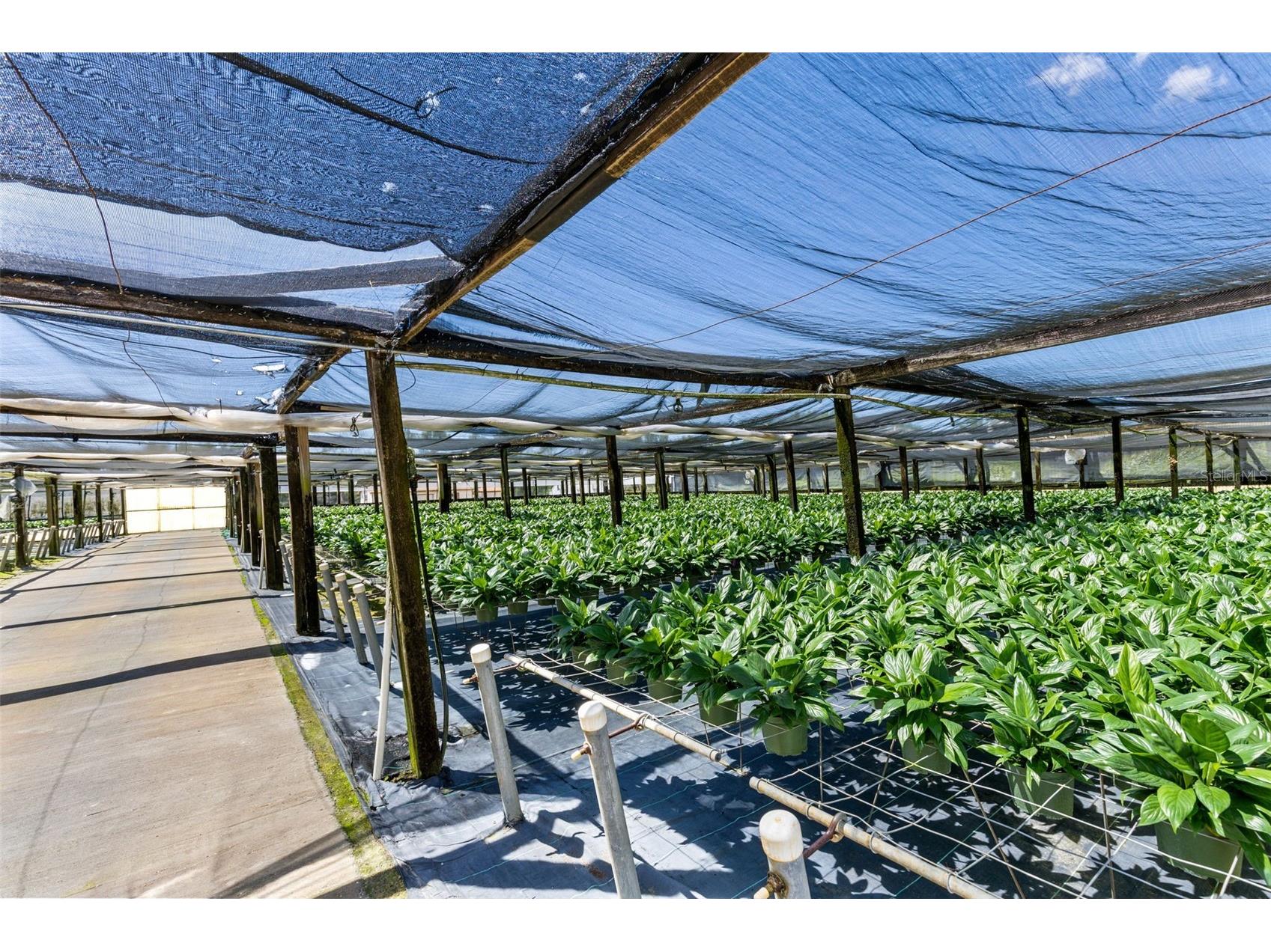 18021 E Apshawa Road Minneola FL 34715 O6401161 image6