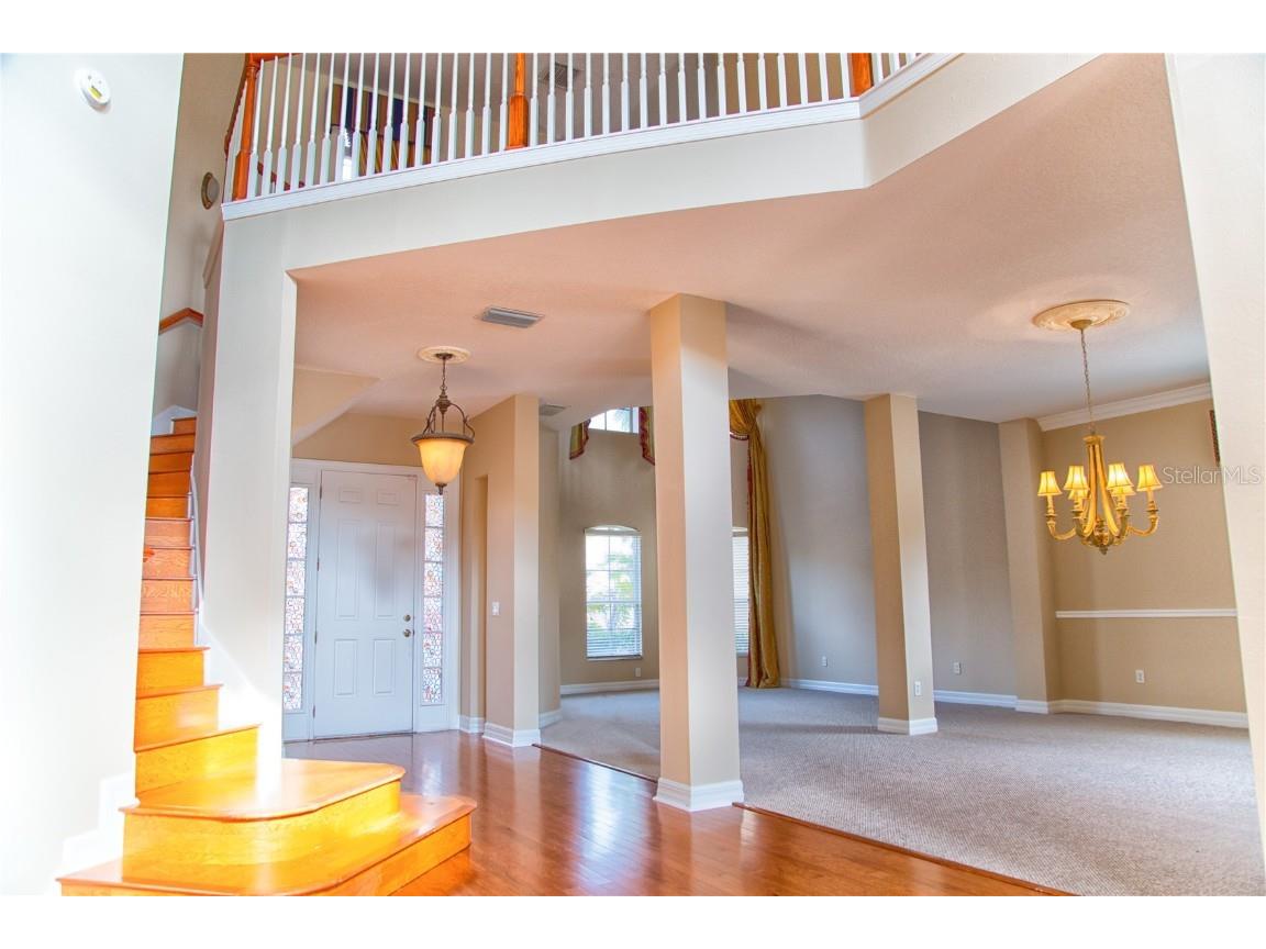 18022 Cozumel Isle Drive Tampa FL 33647 TB8388208 image10