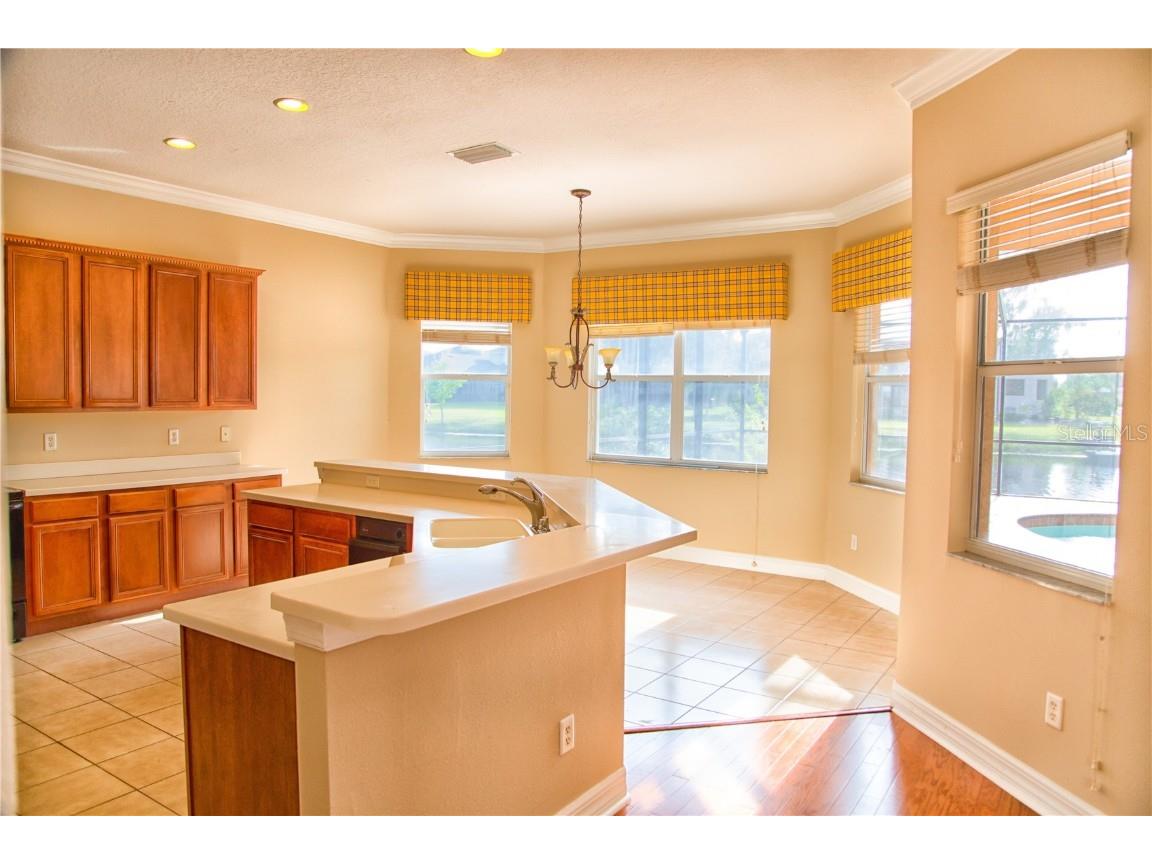 18022 Cozumel Isle Drive Tampa FL 33647 TB8388208 image14