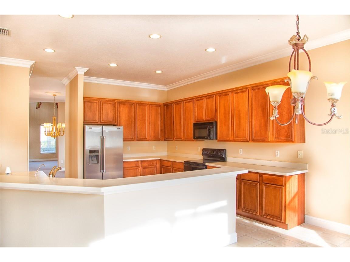 18022 Cozumel Isle Drive Tampa FL 33647 TB8388208 image15