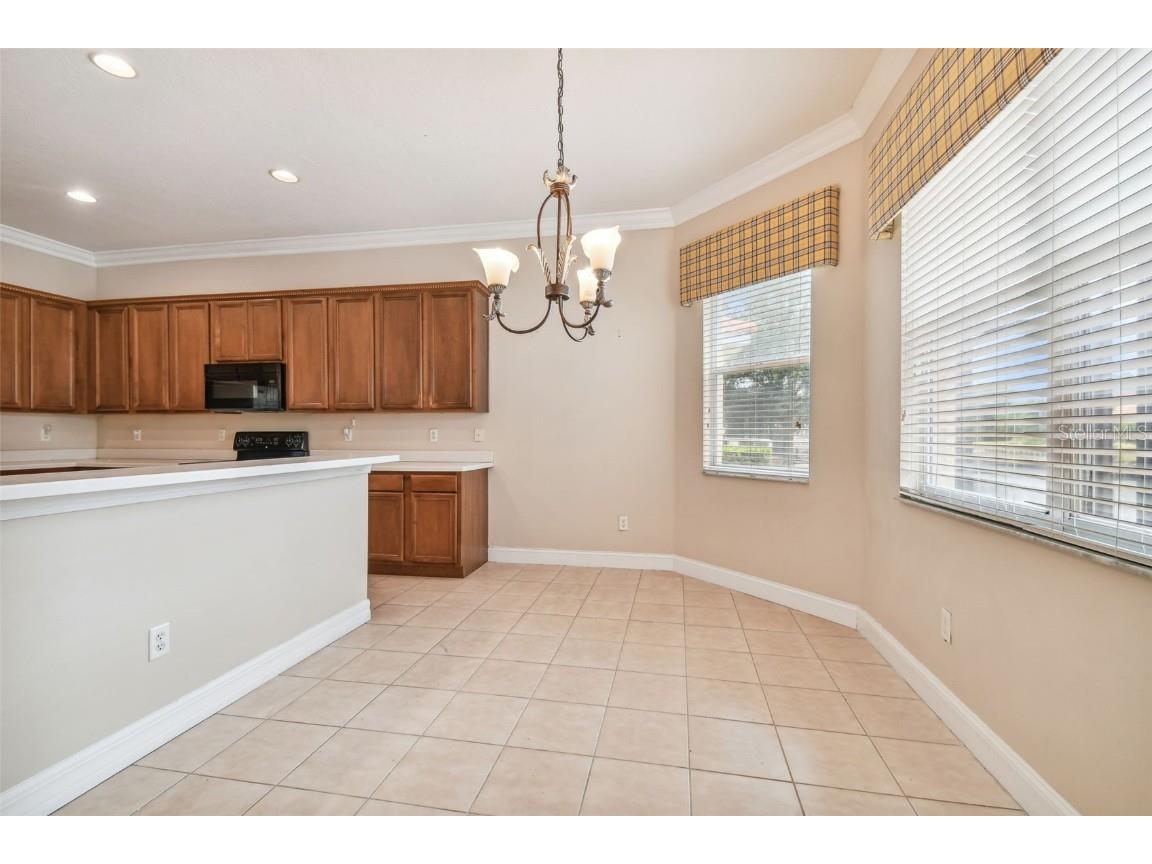 18022 Cozumel Isle Drive Tampa FL 33647 TB8388208 image16