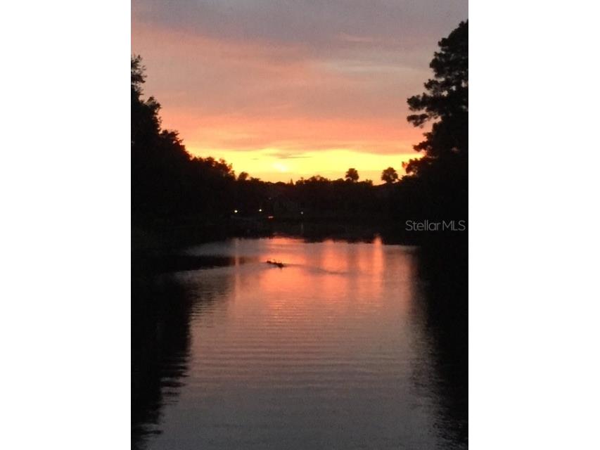 18022 Cozumel Isle Drive Tampa FL 33647 TB8388208 image2