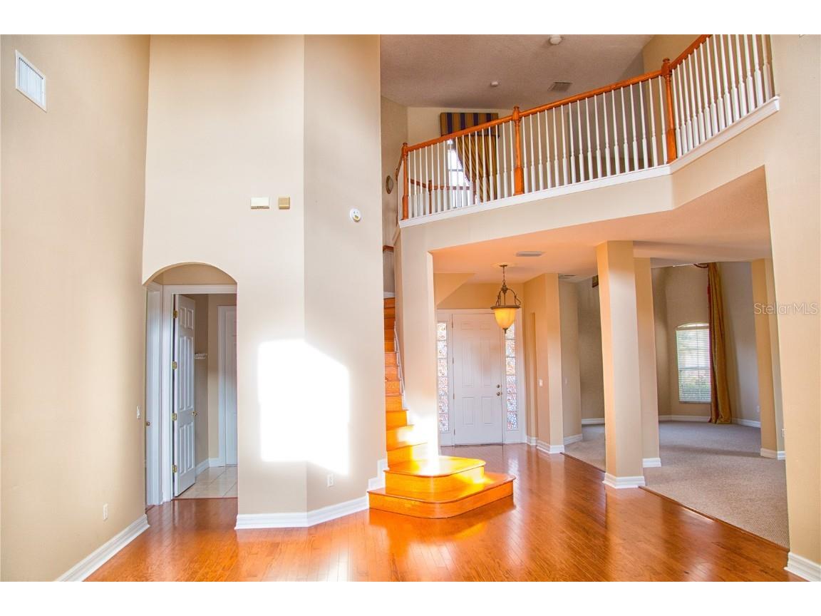 18022 Cozumel Isle Drive Tampa FL 33647 TB8388208 image33