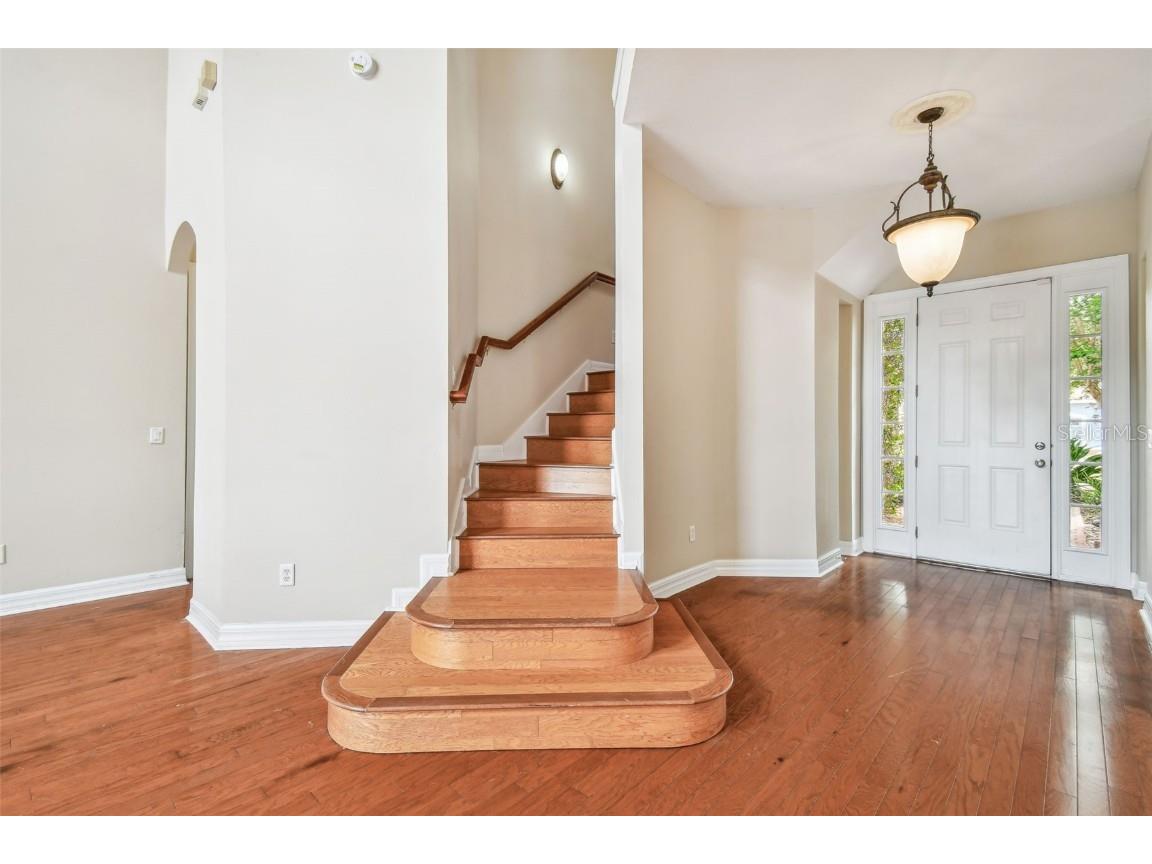 18022 Cozumel Isle Drive Tampa FL 33647 TB8388208 image38