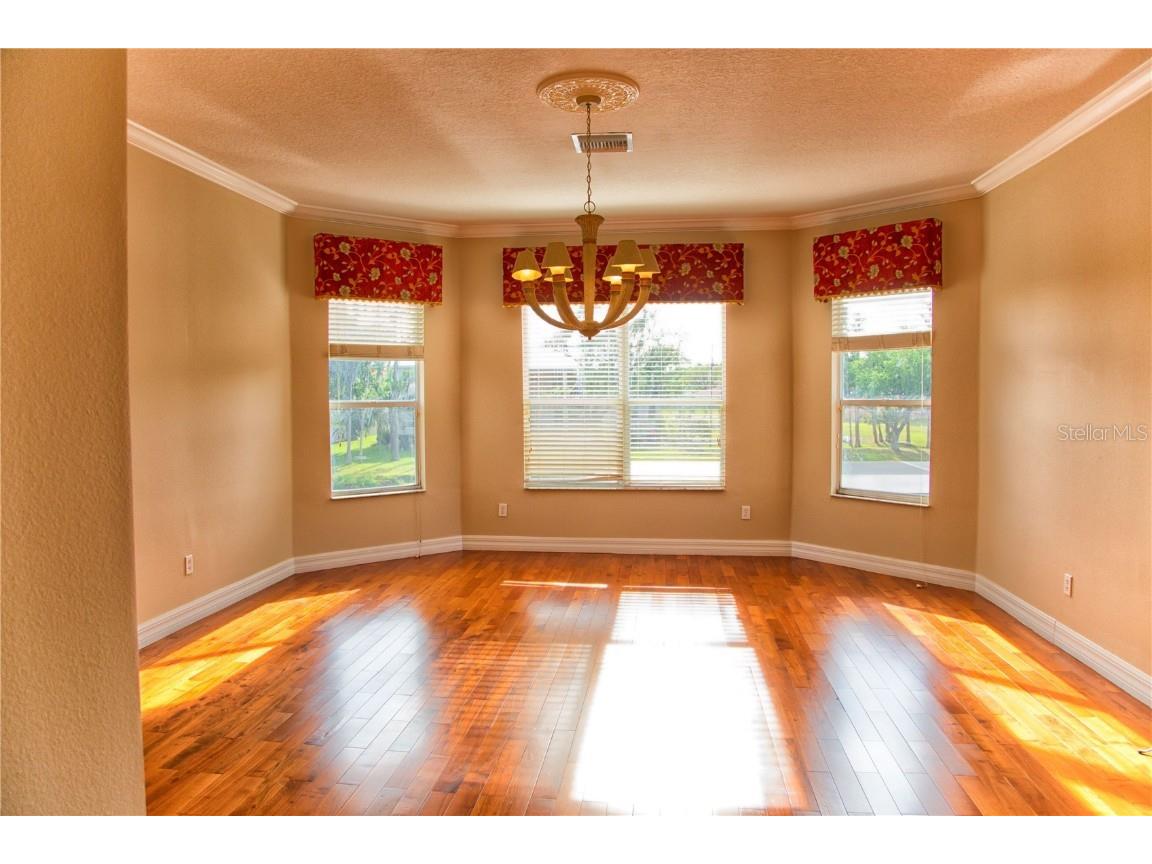 18022 Cozumel Isle Drive Tampa FL 33647 TB8388208 image42