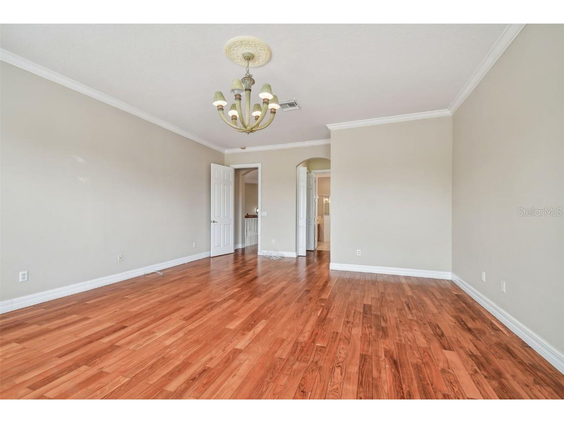 18022 Cozumel Isle Drive Tampa FL 33647 TB8388208 image45