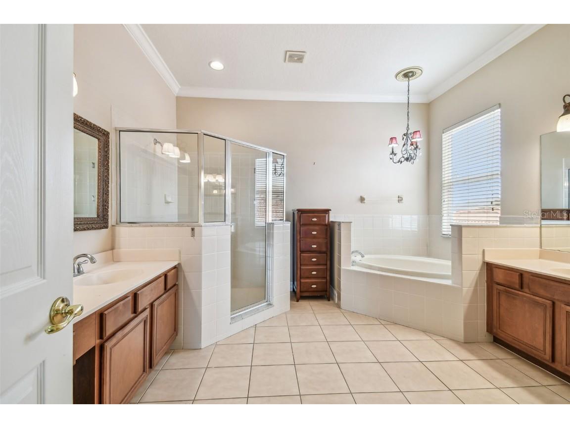 18022 Cozumel Isle Drive Tampa FL 33647 TB8388208 image48