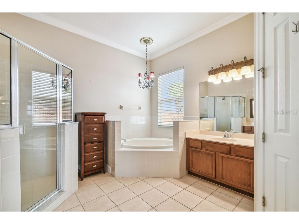 18022 Cozumel Isle Drive Tampa FL 33647 TB8388208 image49