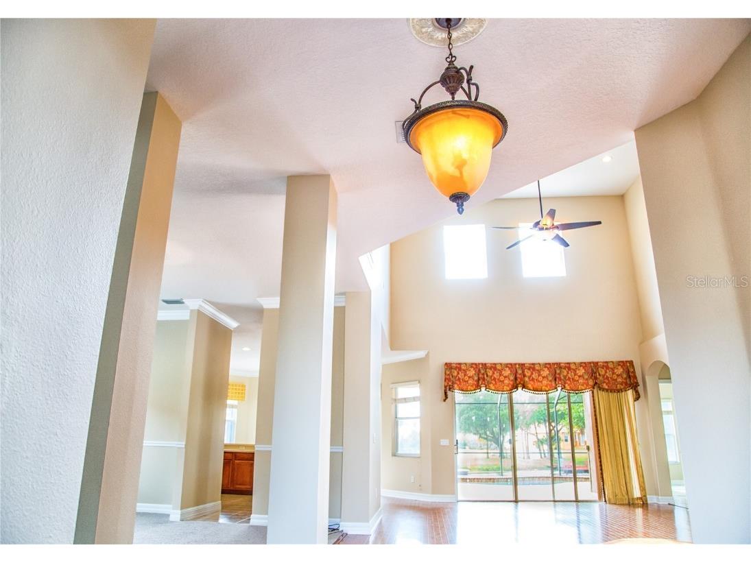 18022 Cozumel Isle Drive Tampa FL 33647 TB8388208 image5