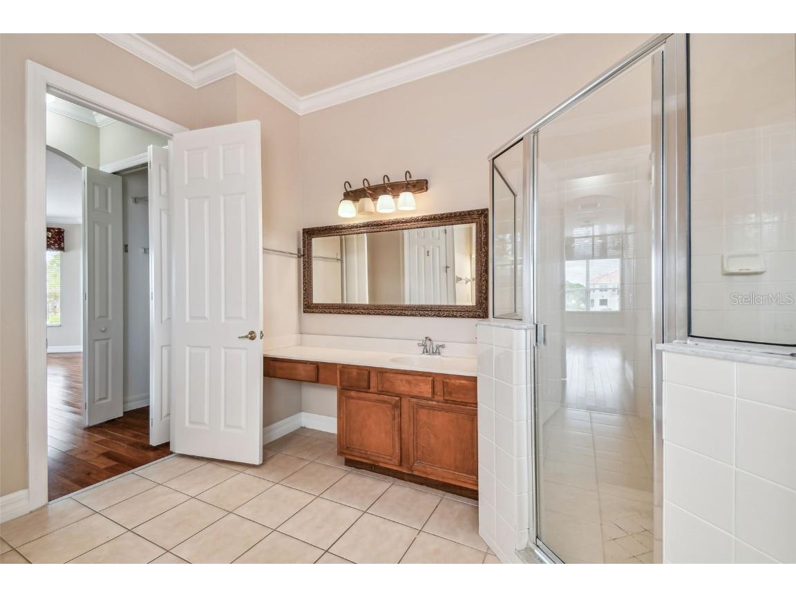 18022 Cozumel Isle Drive Tampa FL 33647 TB8388208 image50