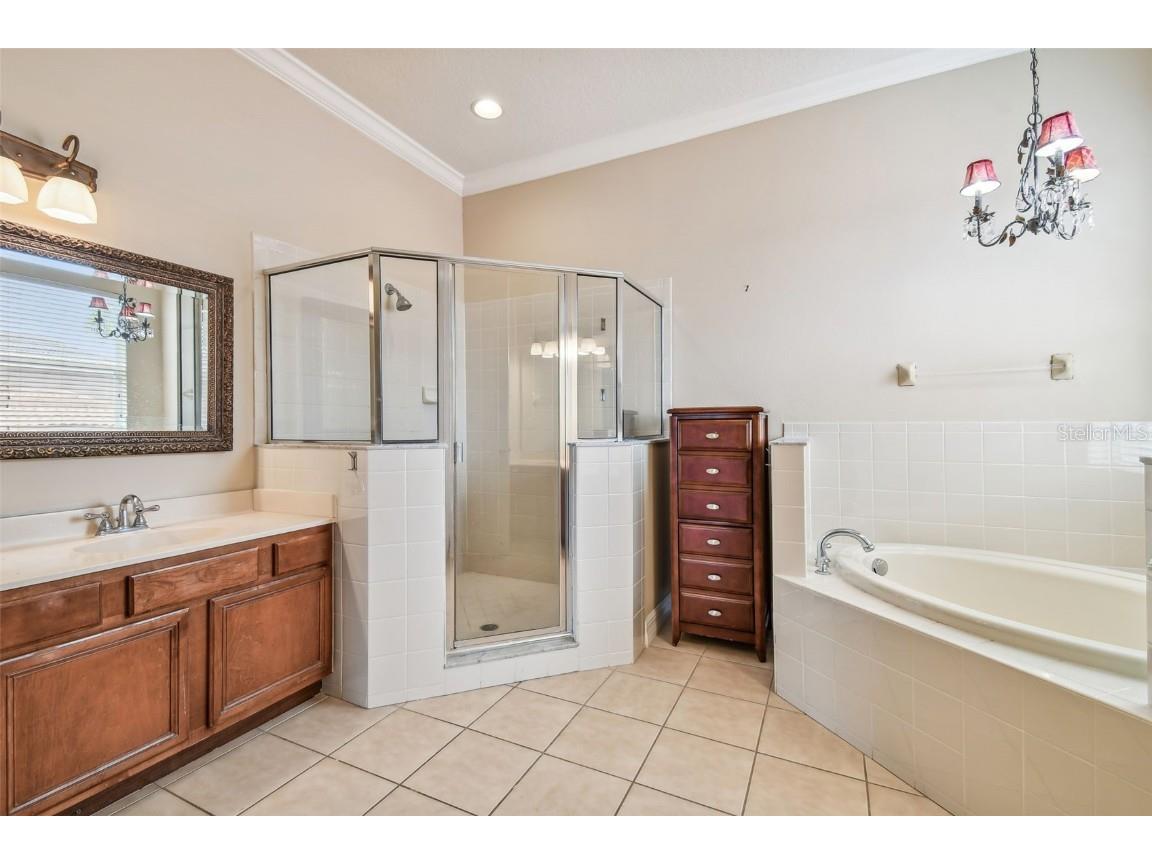 18022 Cozumel Isle Drive Tampa FL 33647 TB8388208 image51