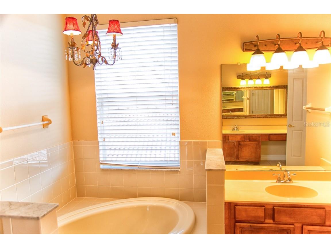 18022 Cozumel Isle Drive Tampa FL 33647 TB8388208 image52