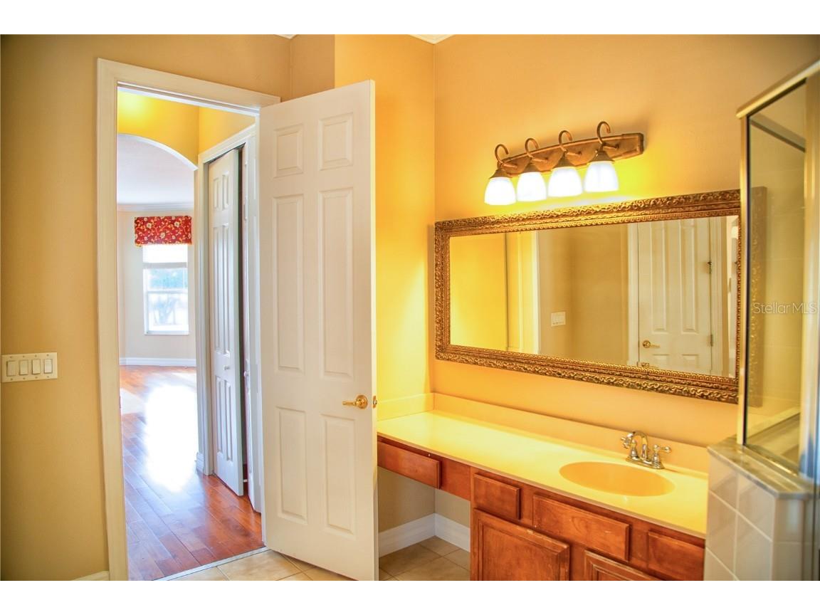 18022 Cozumel Isle Drive Tampa FL 33647 TB8388208 image53