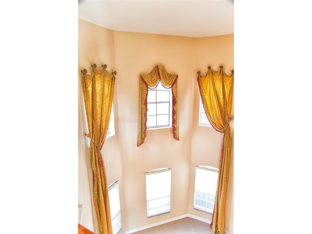 18022 Cozumel Isle Drive Tampa FL 33647 TB8388208 image7