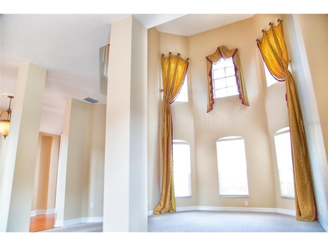 18022 Cozumel Isle Drive Tampa FL 33647 TB8388208 image8