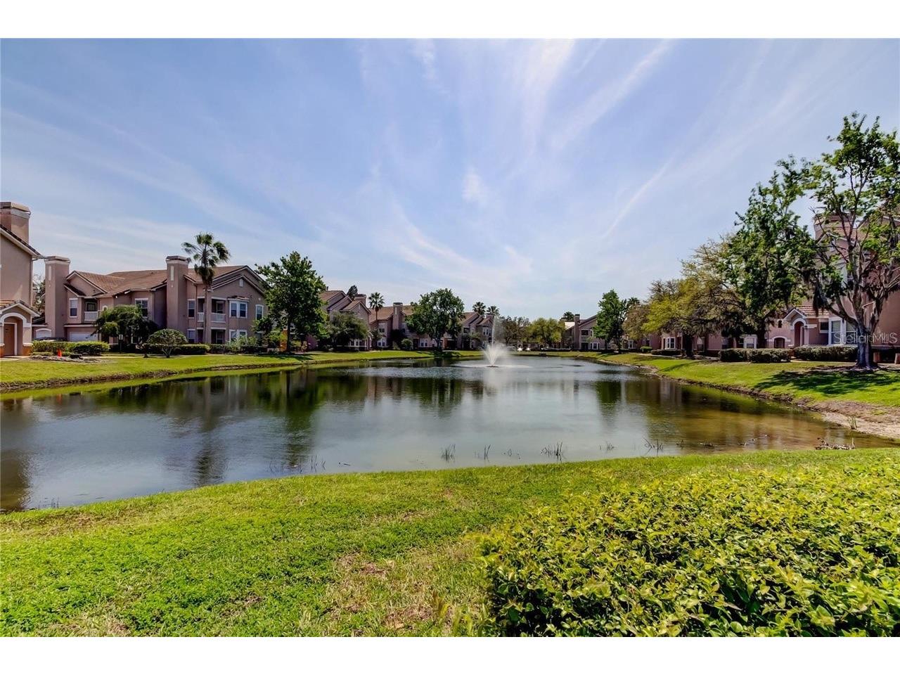 18022 Villa Creek Drive #18022 Tampa FL 33647 O6388190 image27
