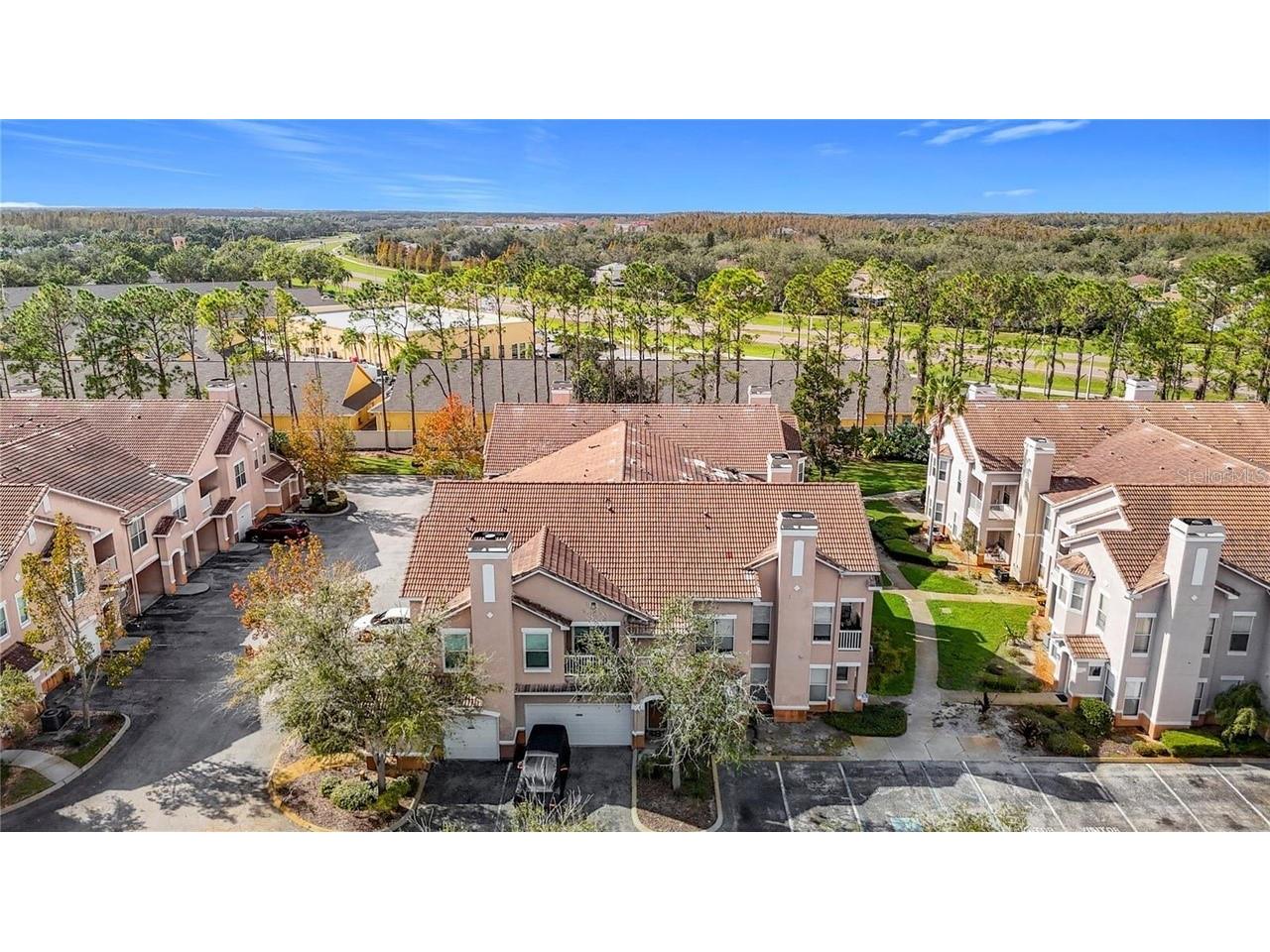 18022 Villa Creek Drive #18022 Tampa FL 33647 O6388190 image35