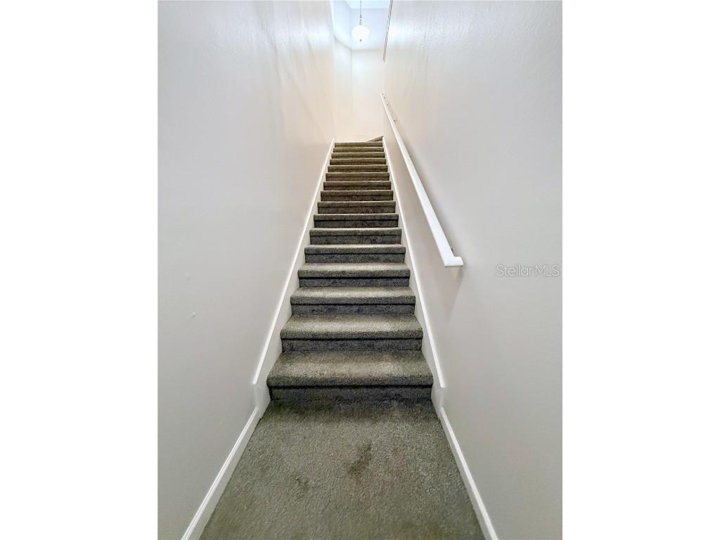 18023 Villa Creek Drive #18023 Tampa FL 33647 TB8364839 image5