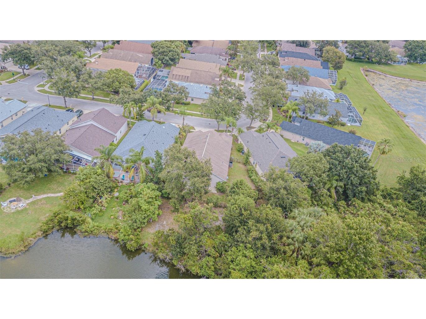 18024 Arbor Crest Drive Tampa FL 33647 TB8424427 image5