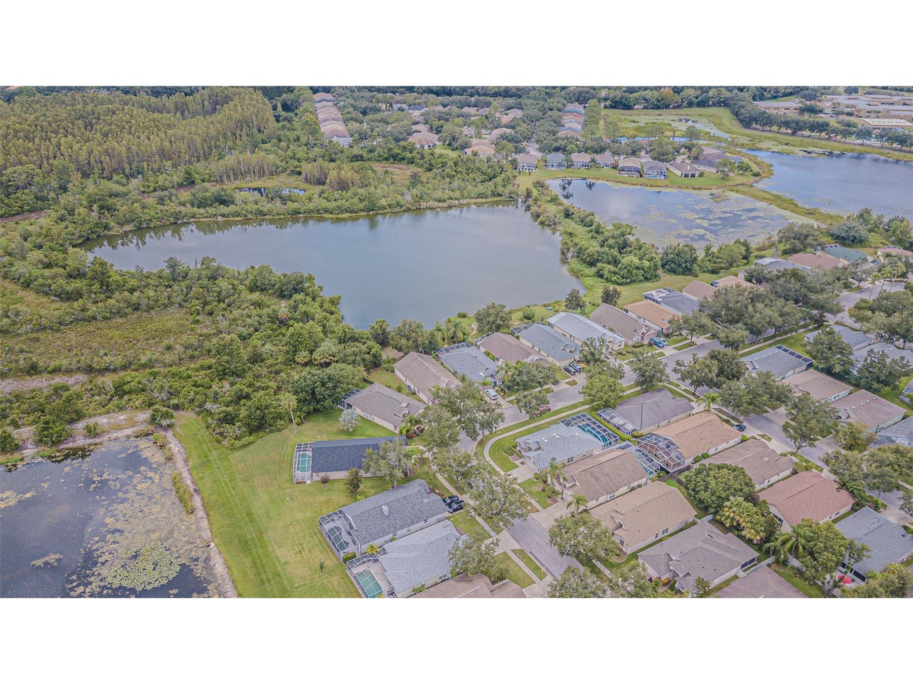 18024 Arbor Crest Drive Tampa FL 33647 TB8489928 image27
