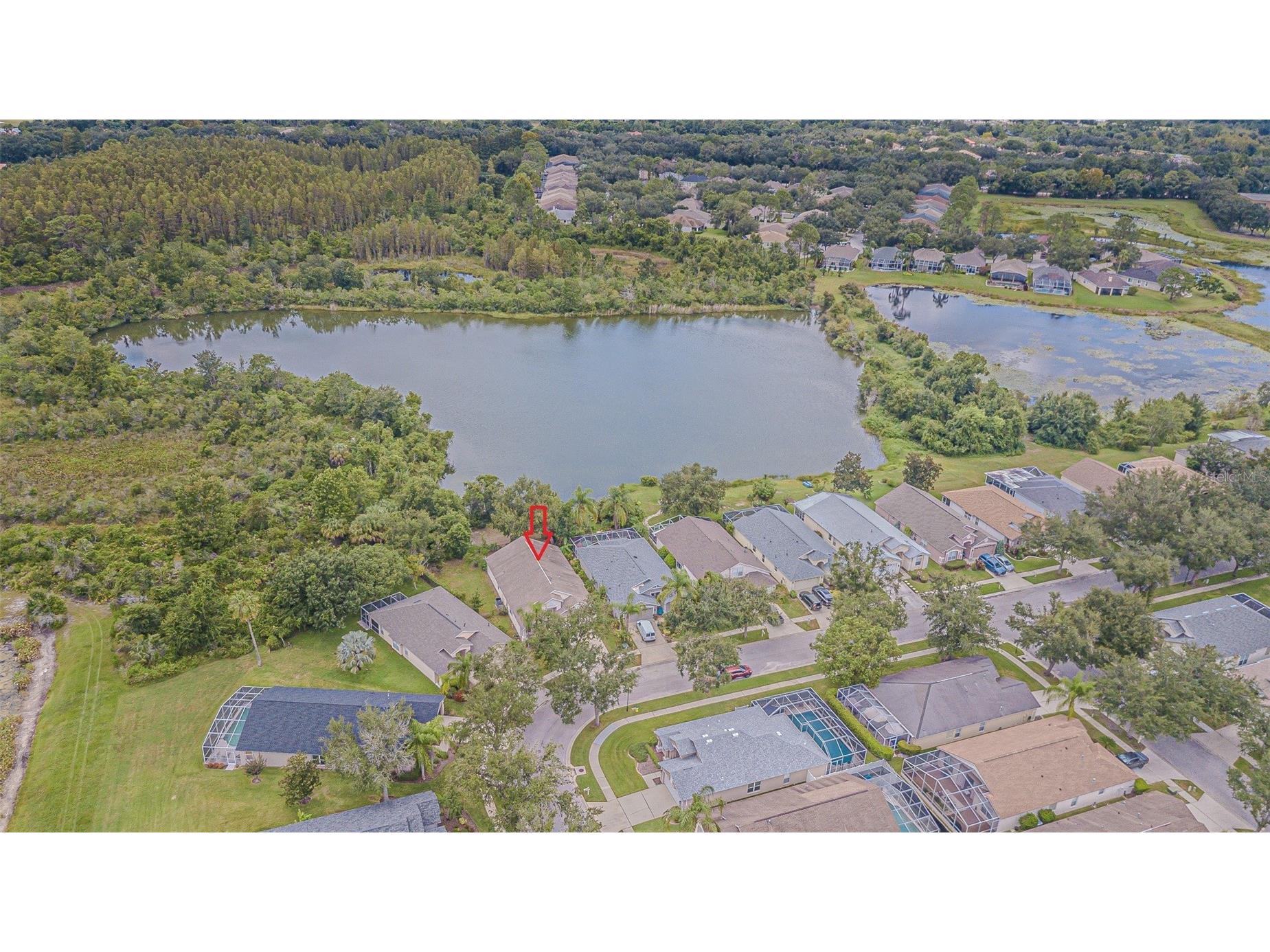 18024 Arbor Crest Drive Tampa FL 33647 TB8489928 image28