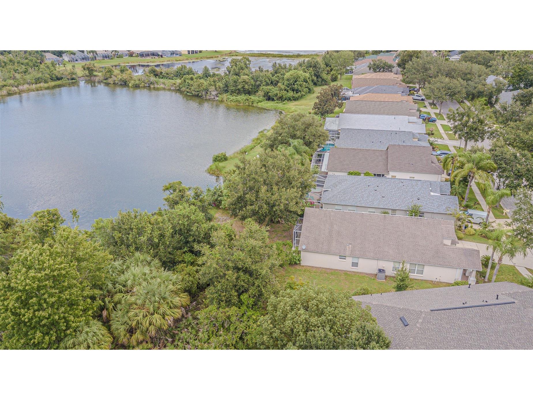 18024 Arbor Crest Drive Tampa FL 33647 TB8489928 image32