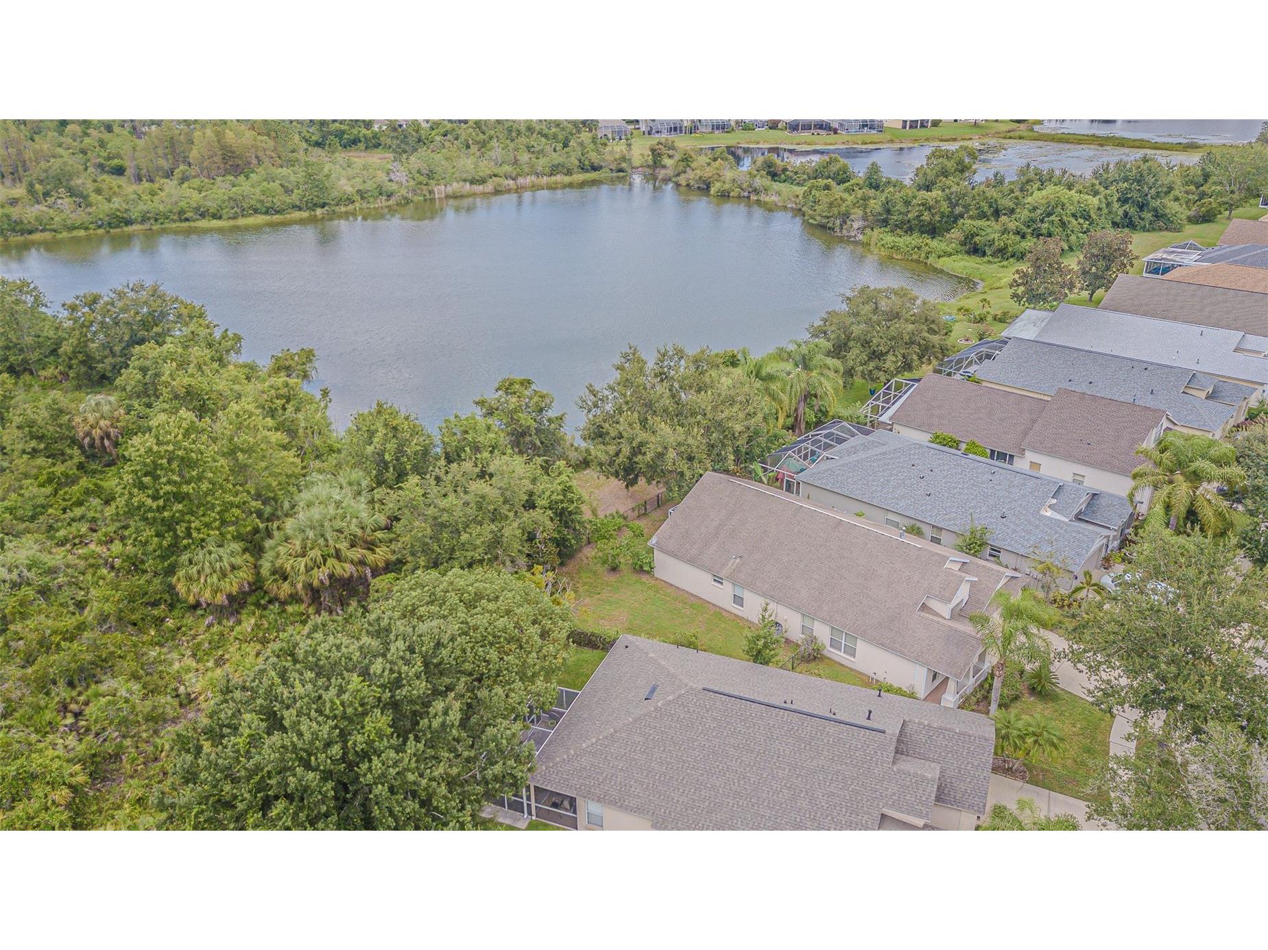 18024 Arbor Crest Drive Tampa FL 33647 TB8489928 image33