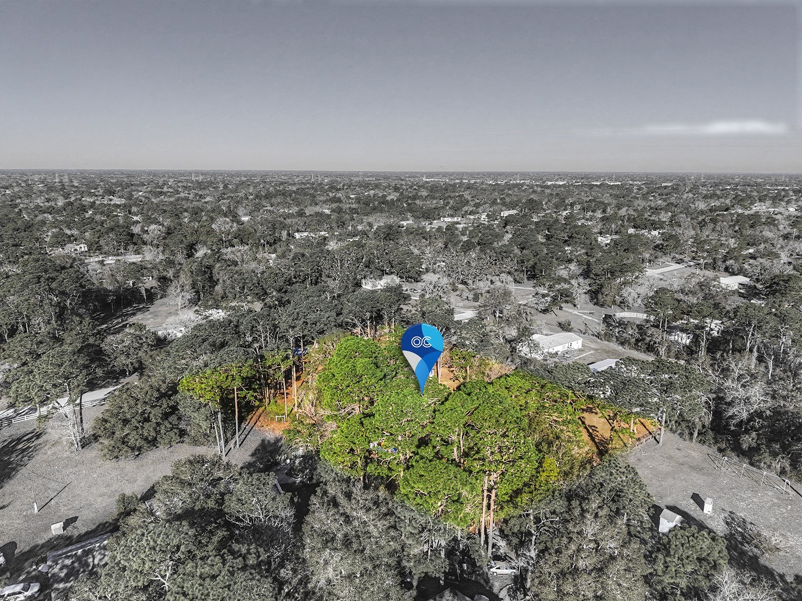 18024 Drayton Street Spring Hill FL 34610 TB8470890 image41