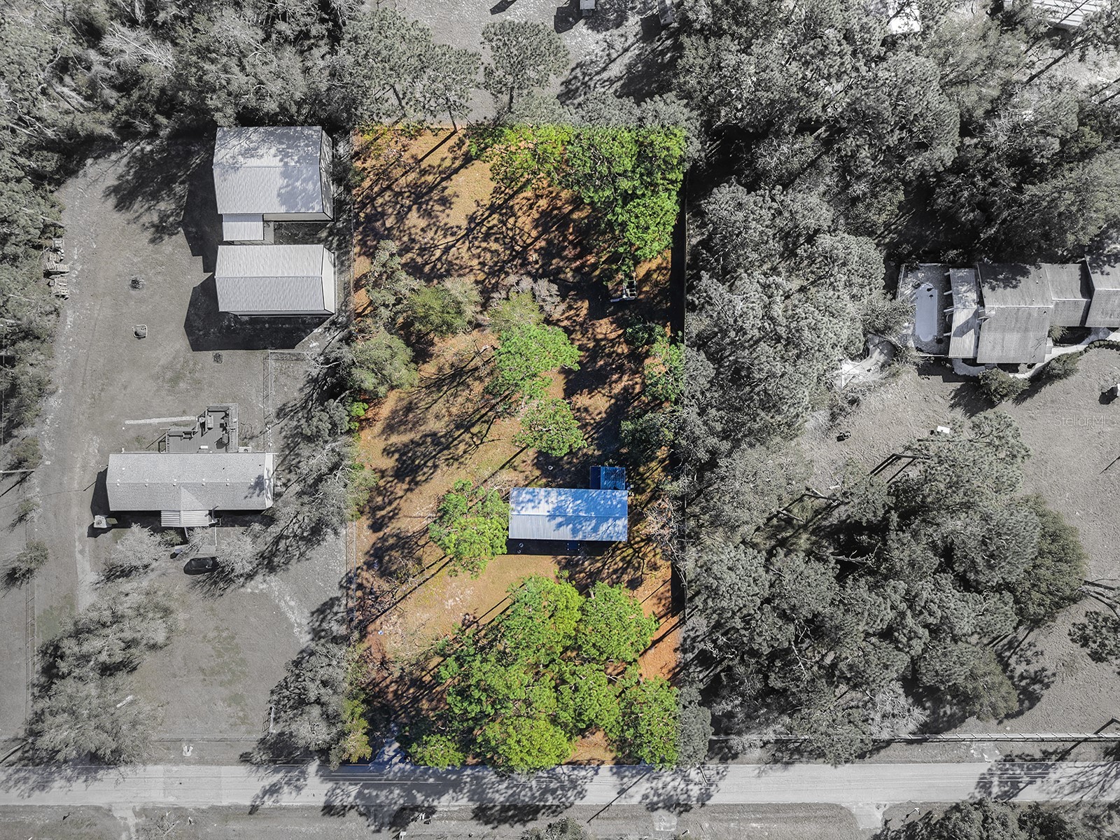 18024 Drayton Street Spring Hill FL 34610 TB8470890 image5
