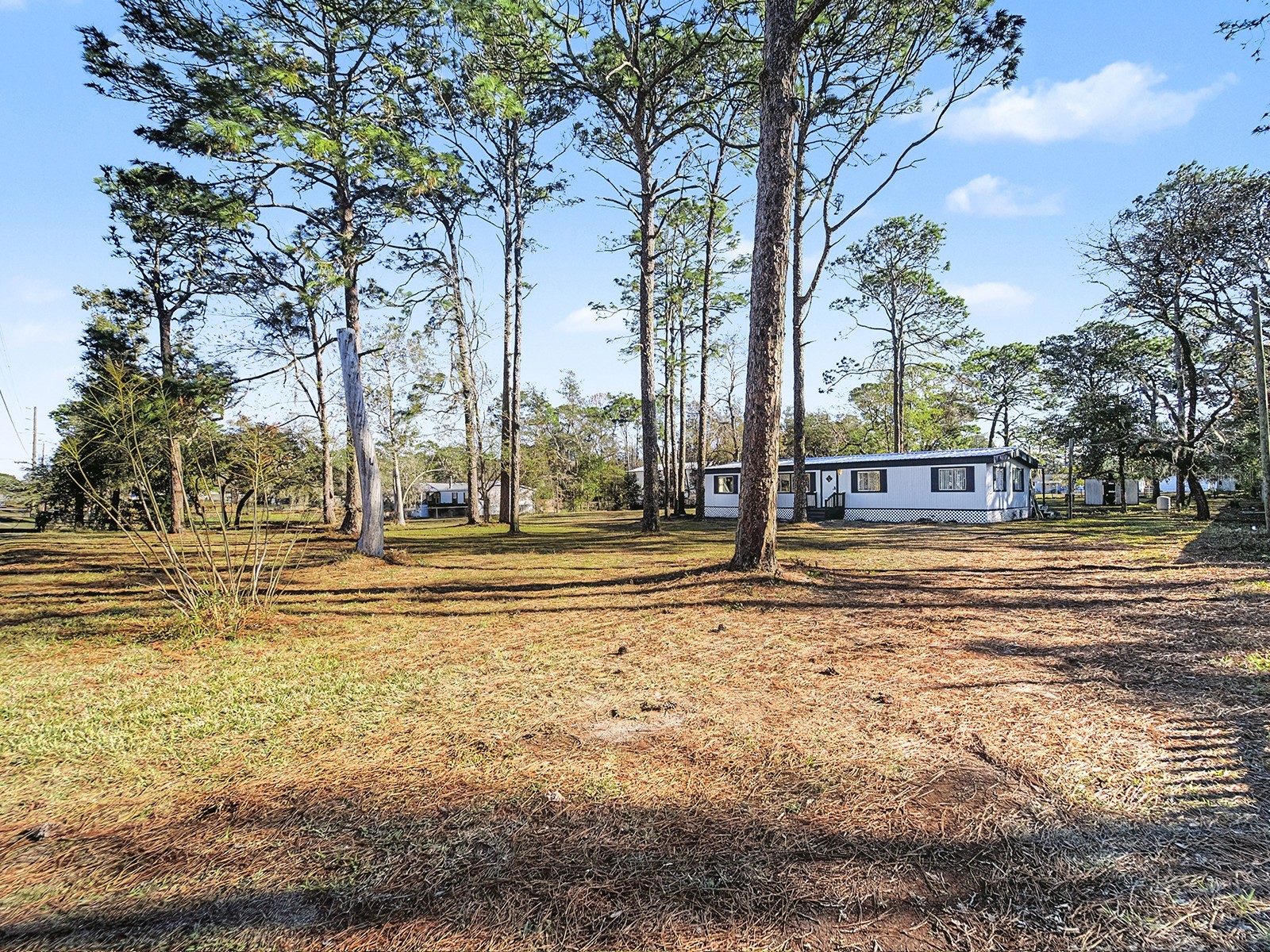 18024 Drayton Street Spring Hill FL 34610 TB8470890 image56