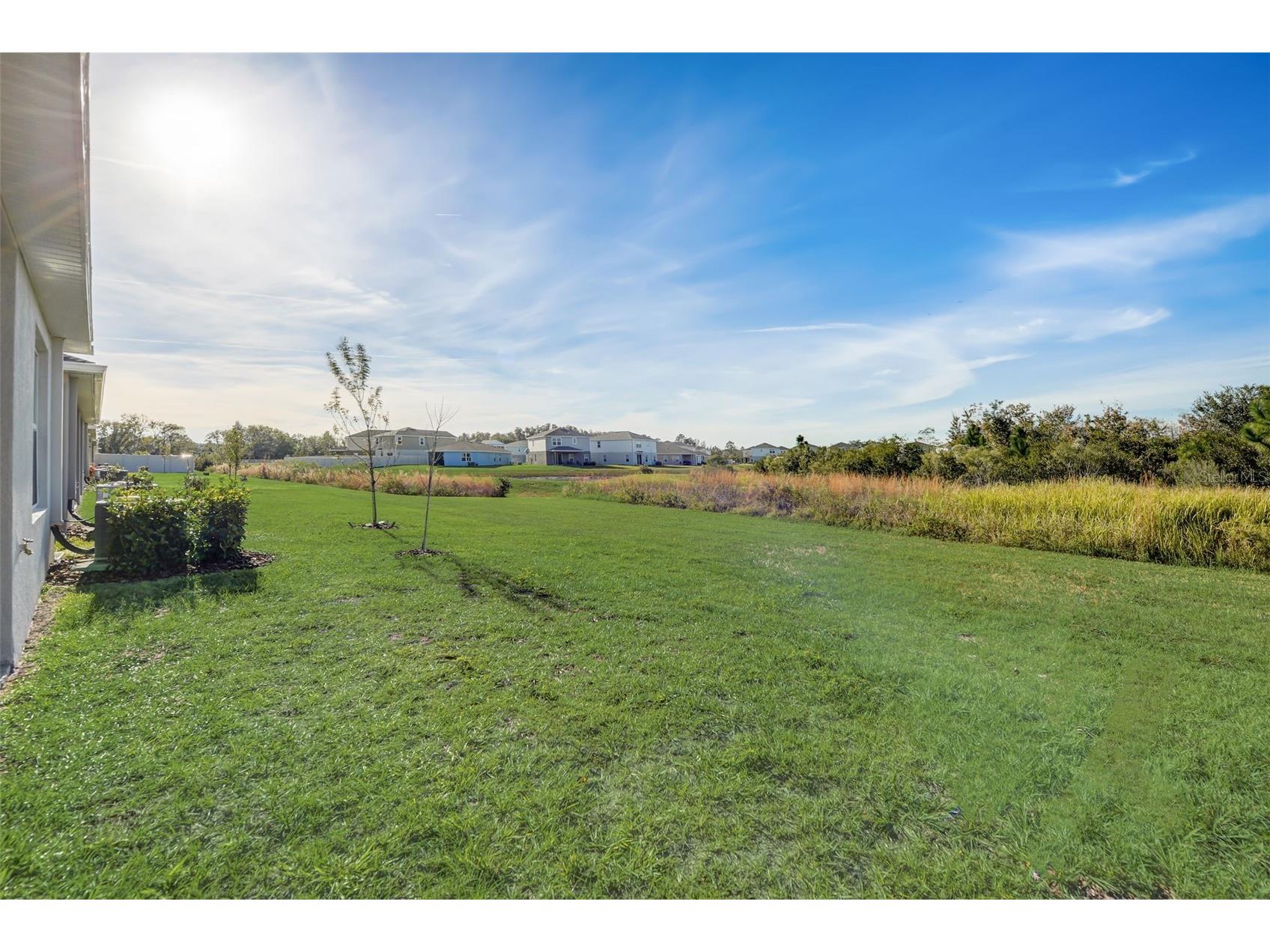 18027 Turning Leaf Circle Land O Lakes FL 34638 TB8497619 image38