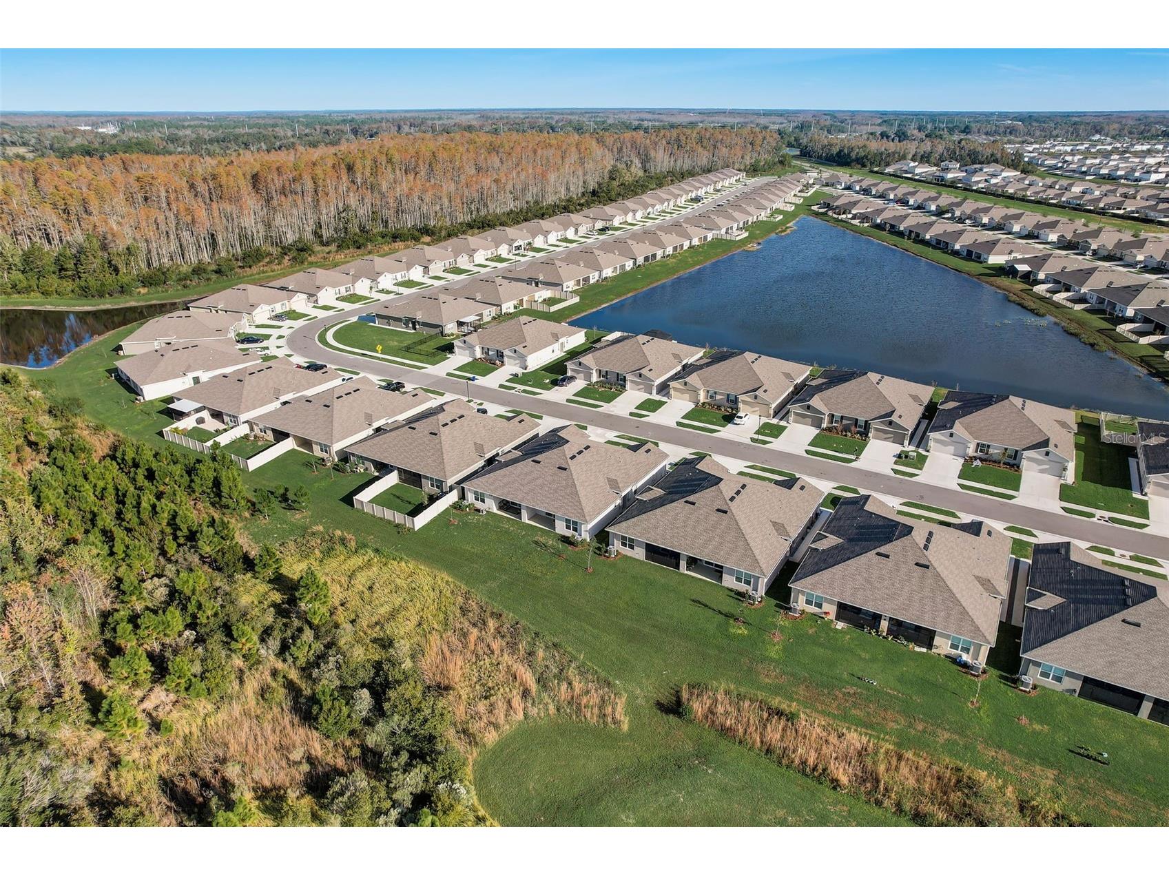 18027 Turning Leaf Circle Land O Lakes FL 34638 TB8497619 image53