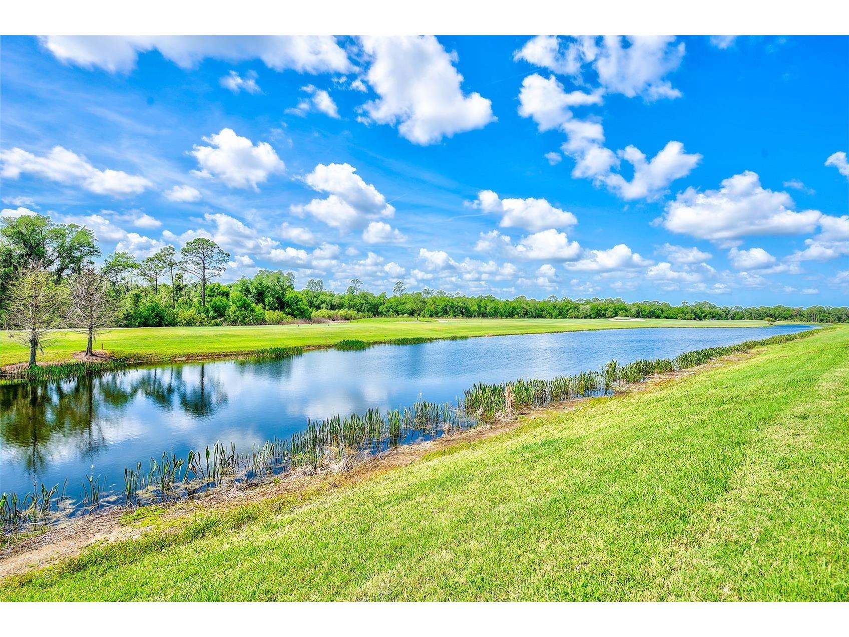 18028 Gawthrop Drive #101 Bradenton FL 34211 TB8492204 image34
