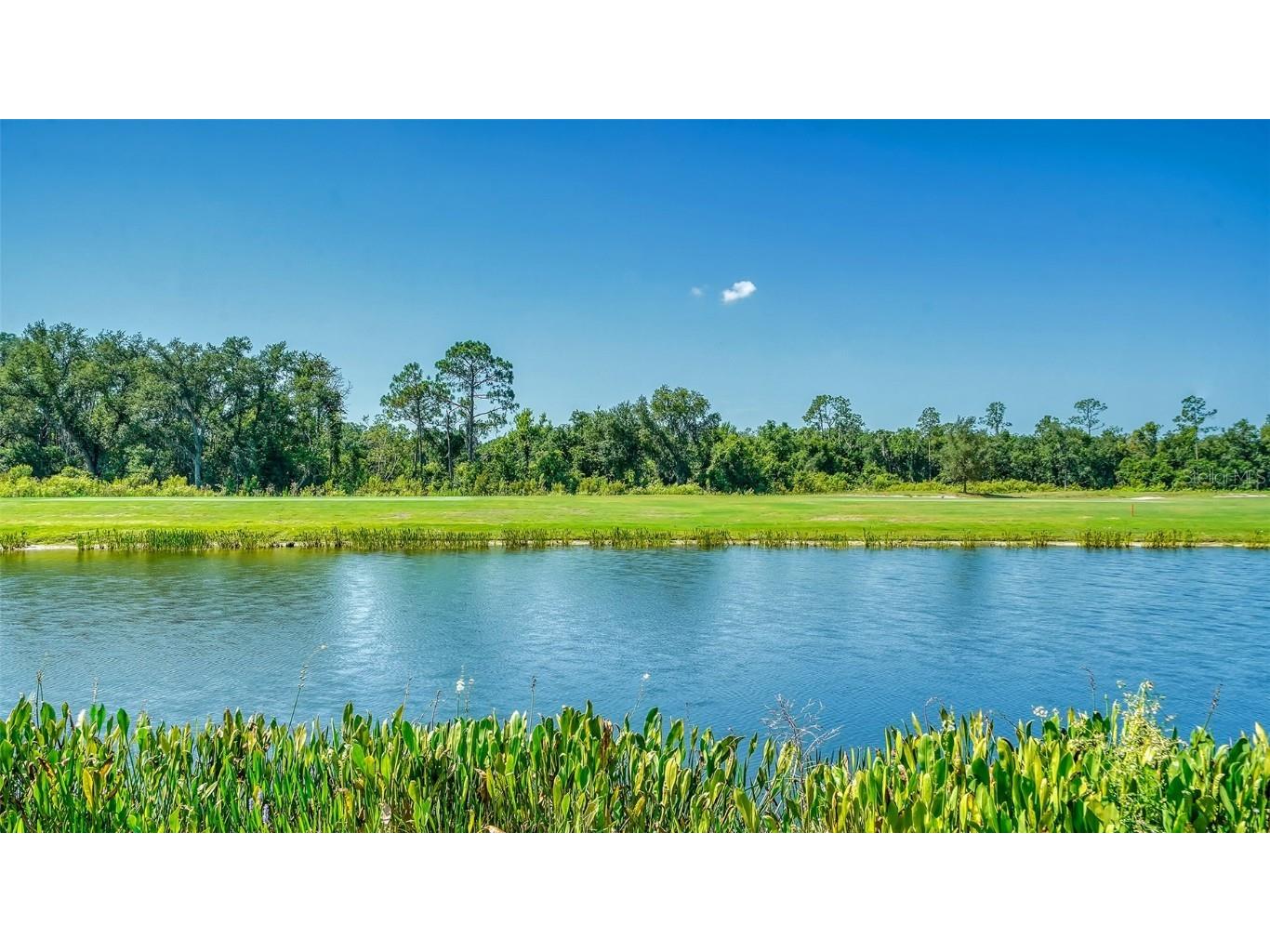 18028 Gawthrop Drive #306 Bradenton FL 34211 A4611657 image33