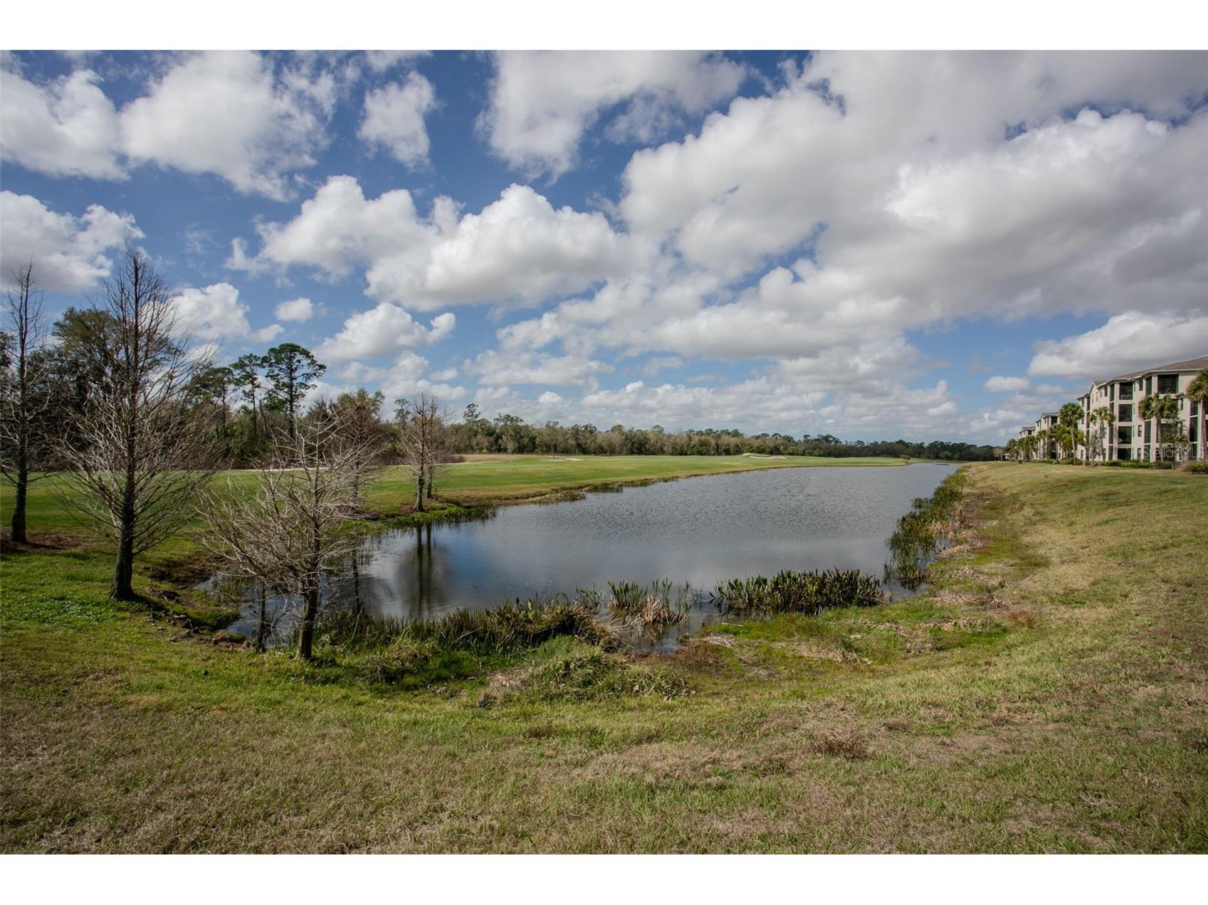 18028 Gawthrop Drive #403 Bradenton FL 34211 A4689228 image43