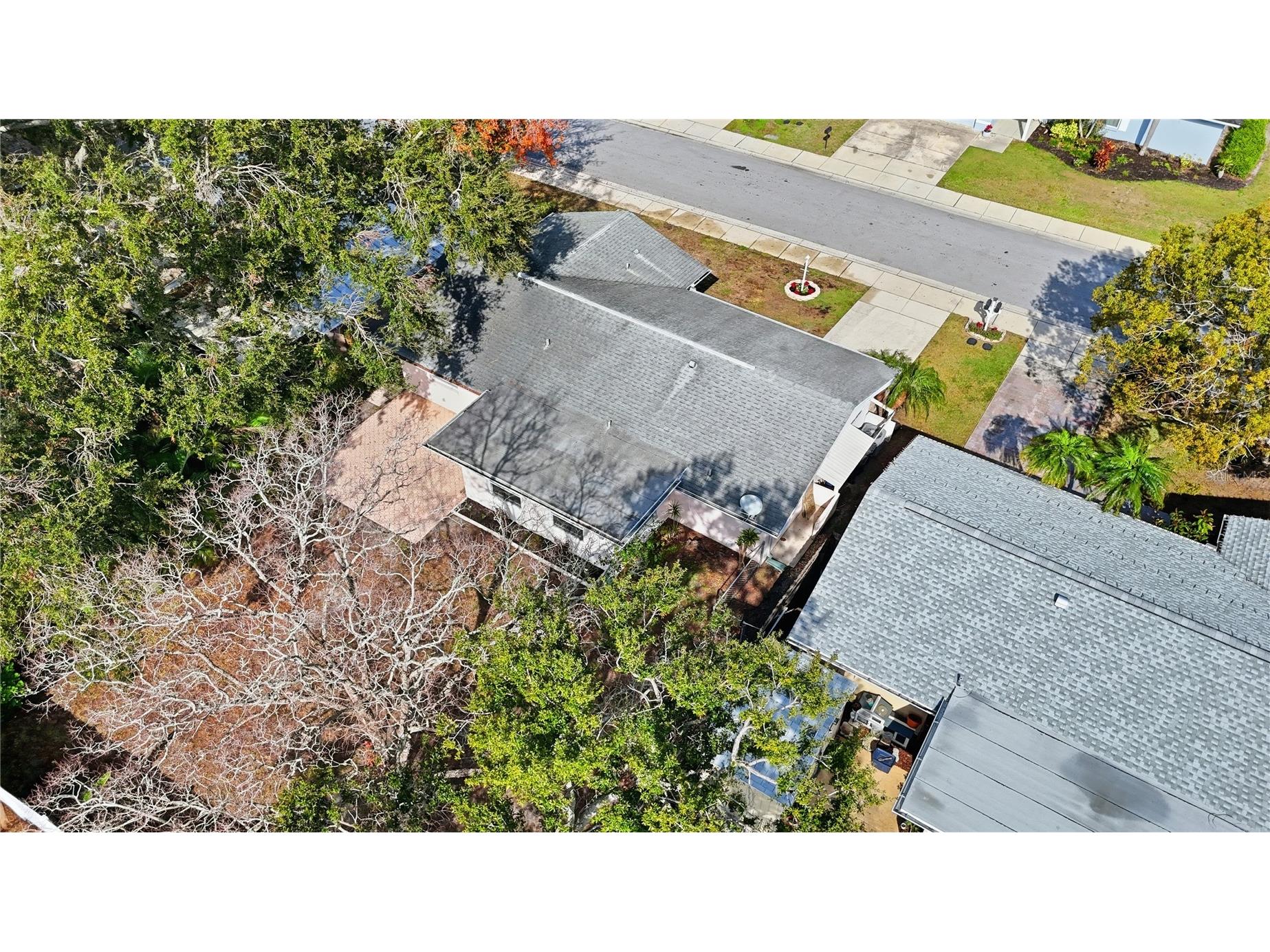 1803 Elmwood Drive Oldsmar FL 34677 TB8461337 image24